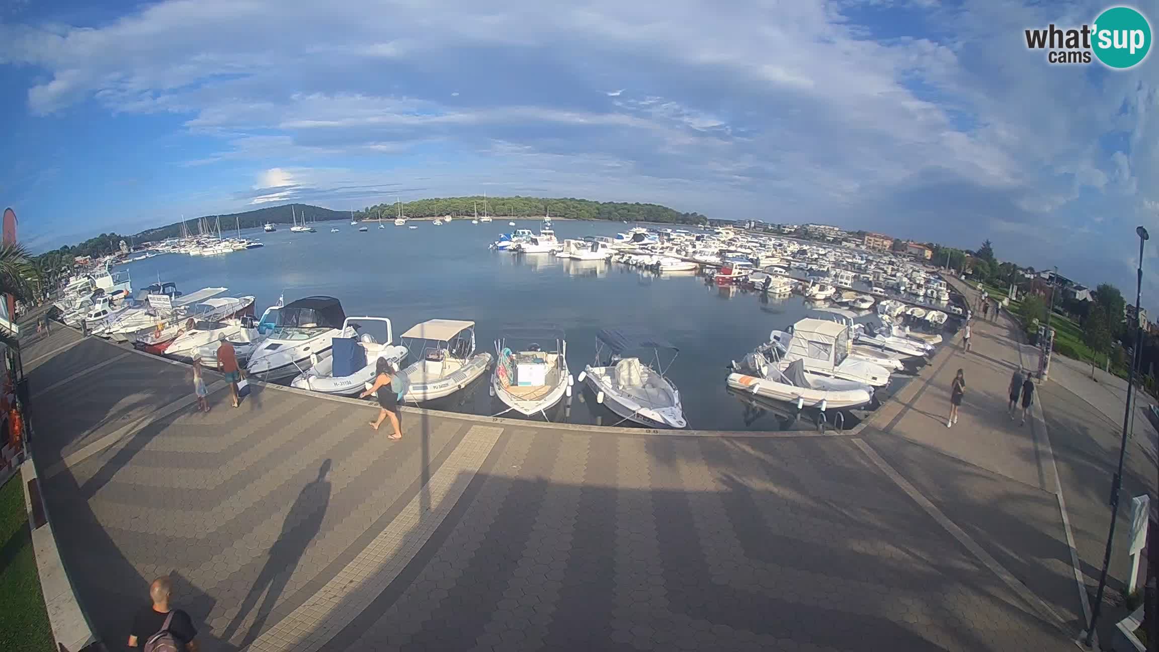 LIVE webcam Medulin marina