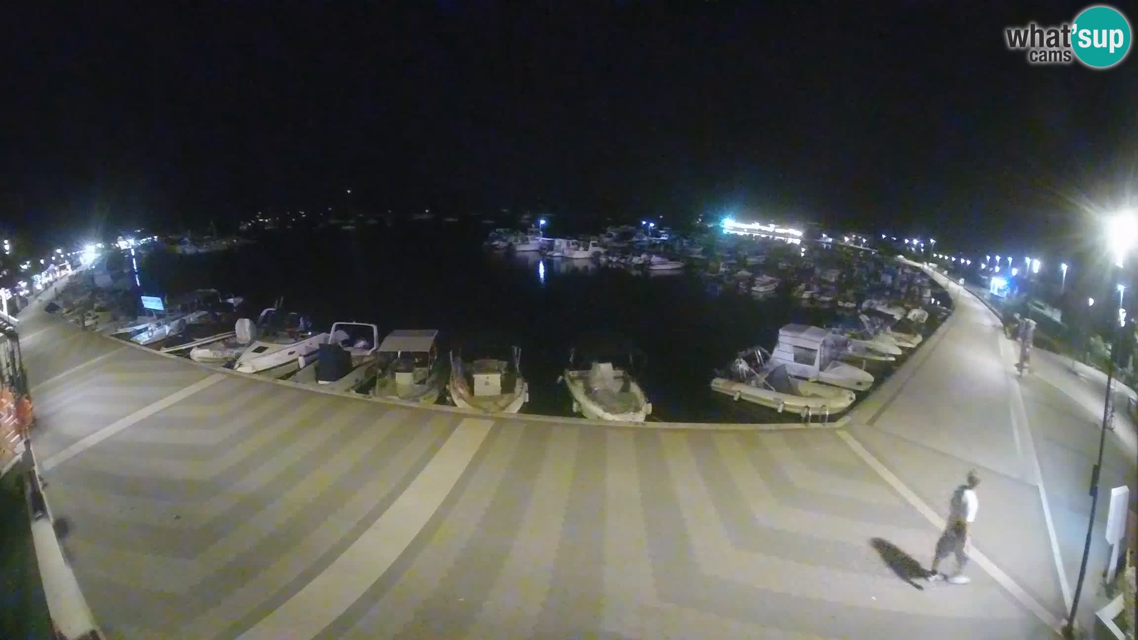 Livecam Medulin marina