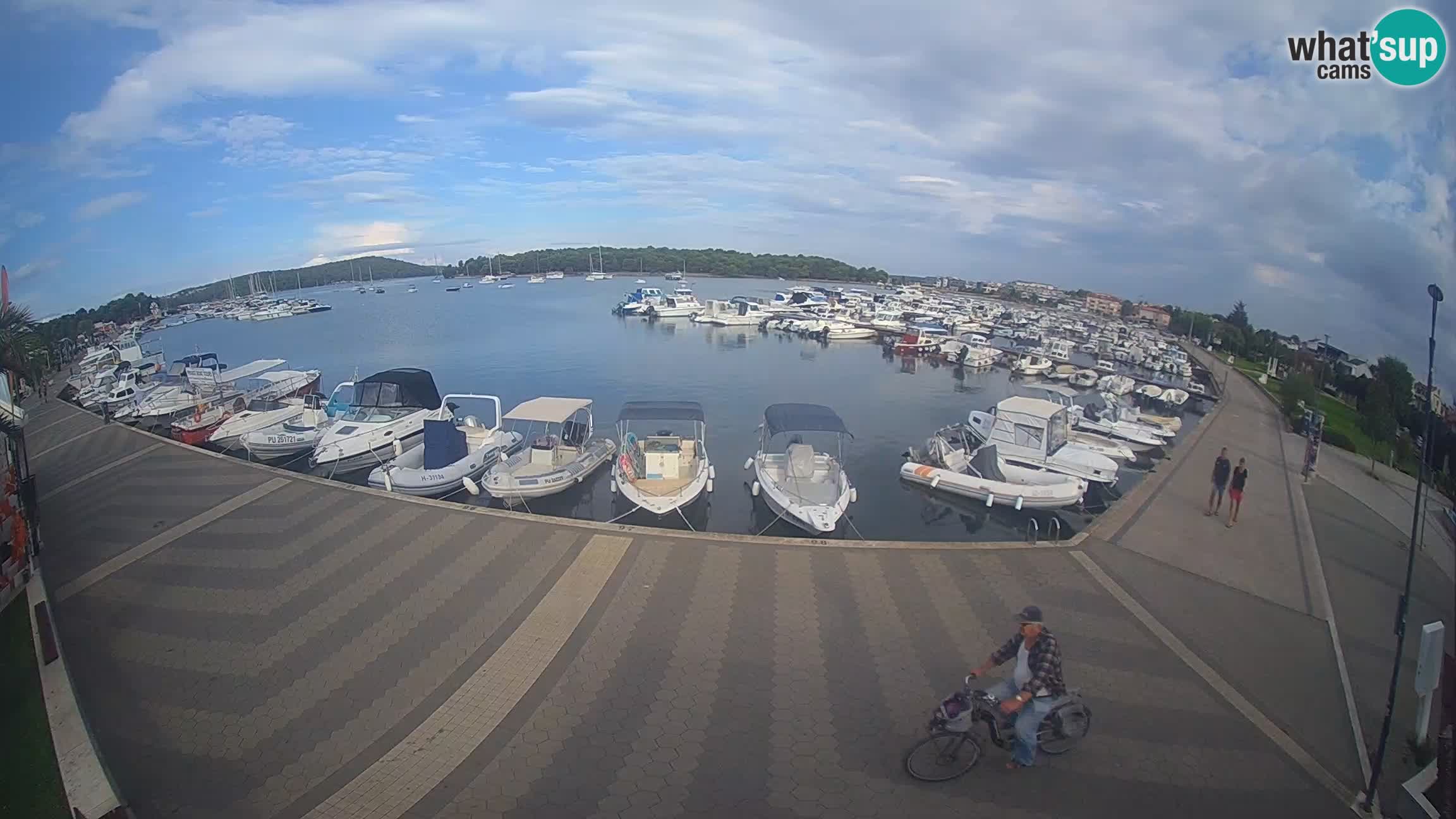 LIVE webcam Medulin marina