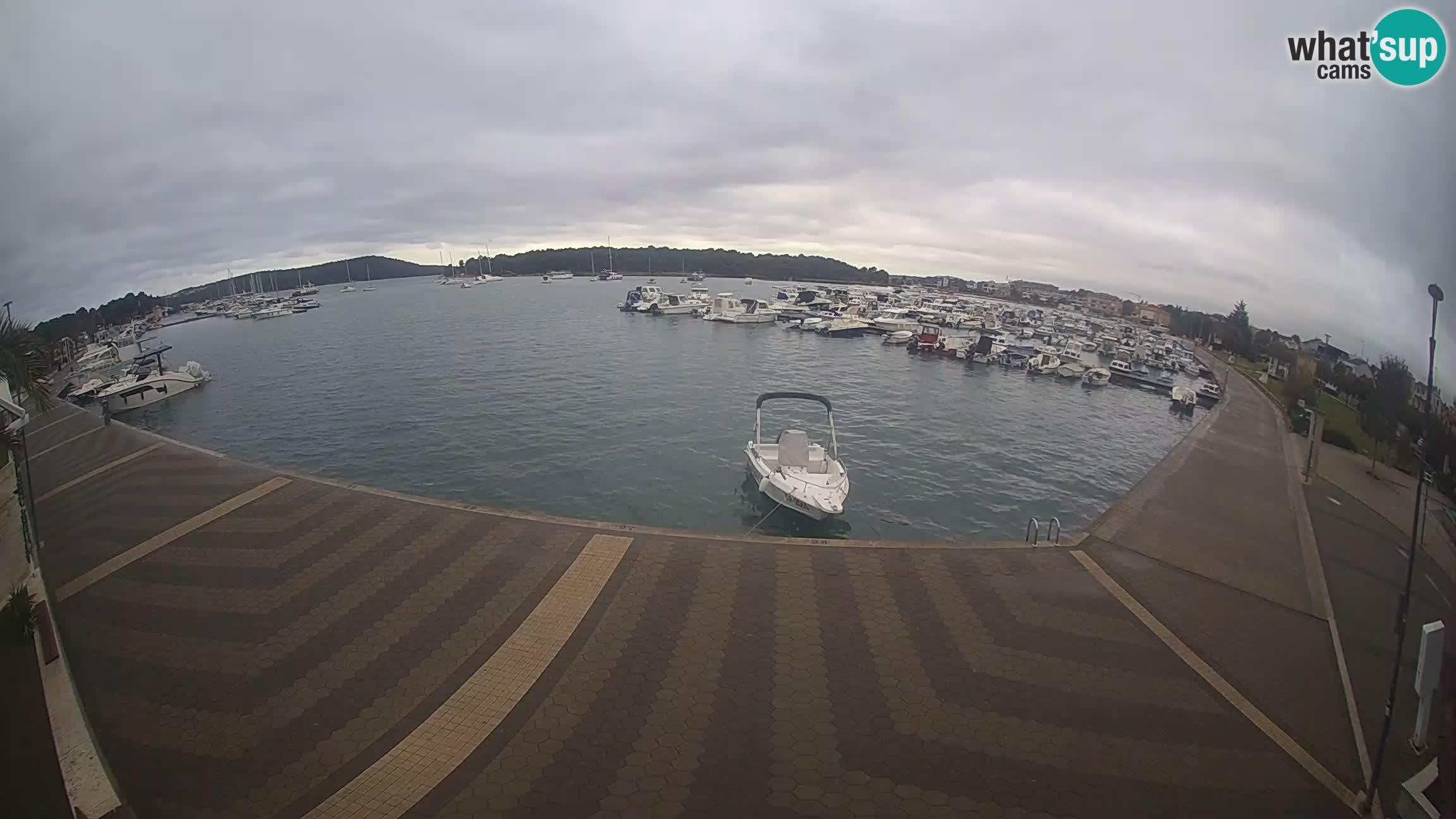 LIVE webcam Medulin marina