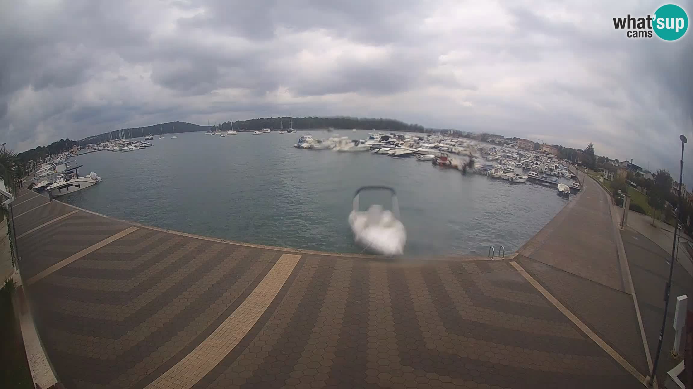 LIVE webcam Medulin marina