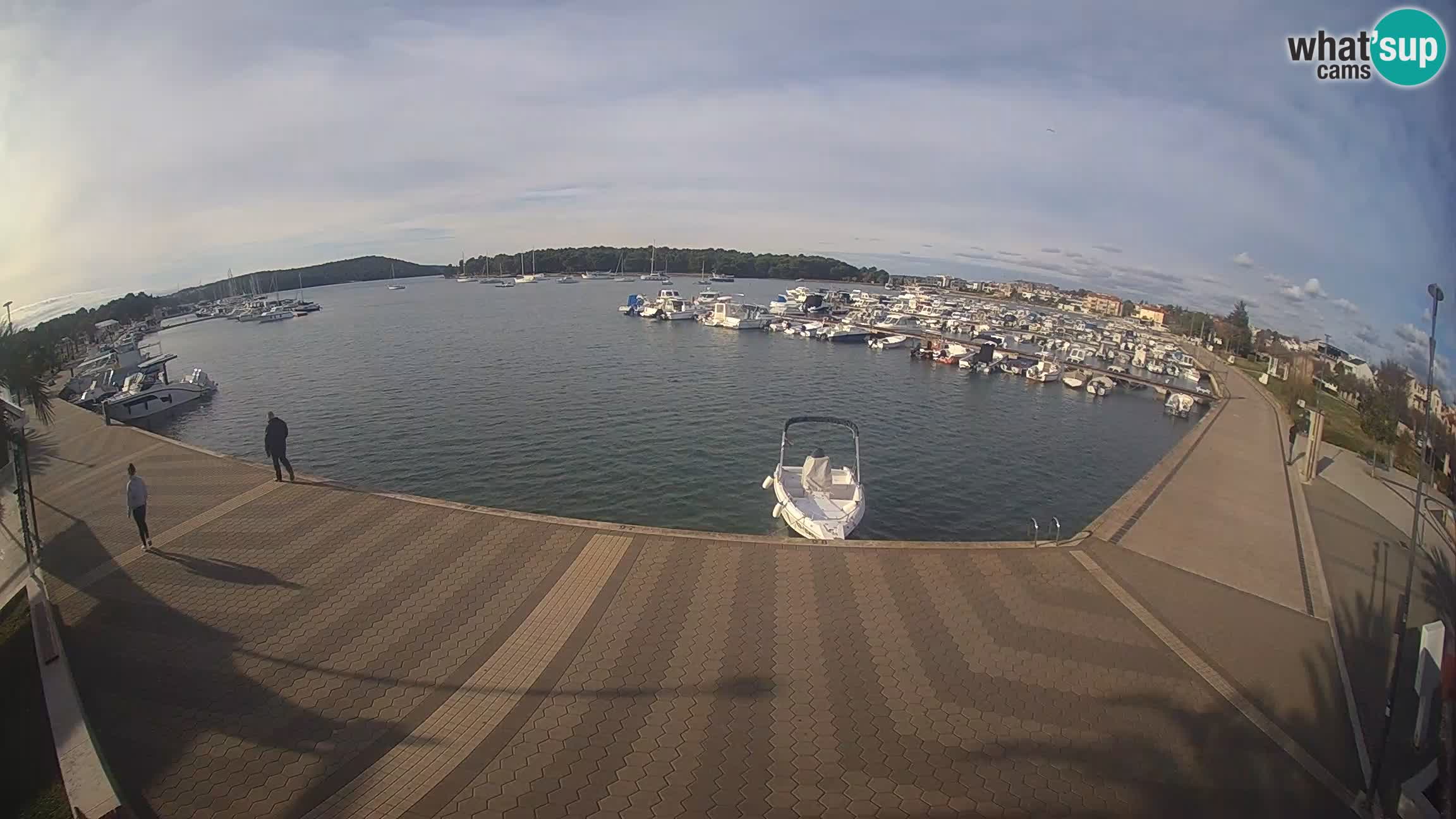 LIVE webcam Medulin marina