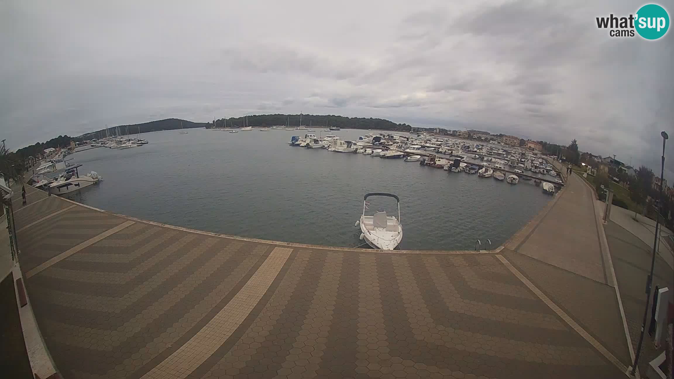 Livecam Medulin marina