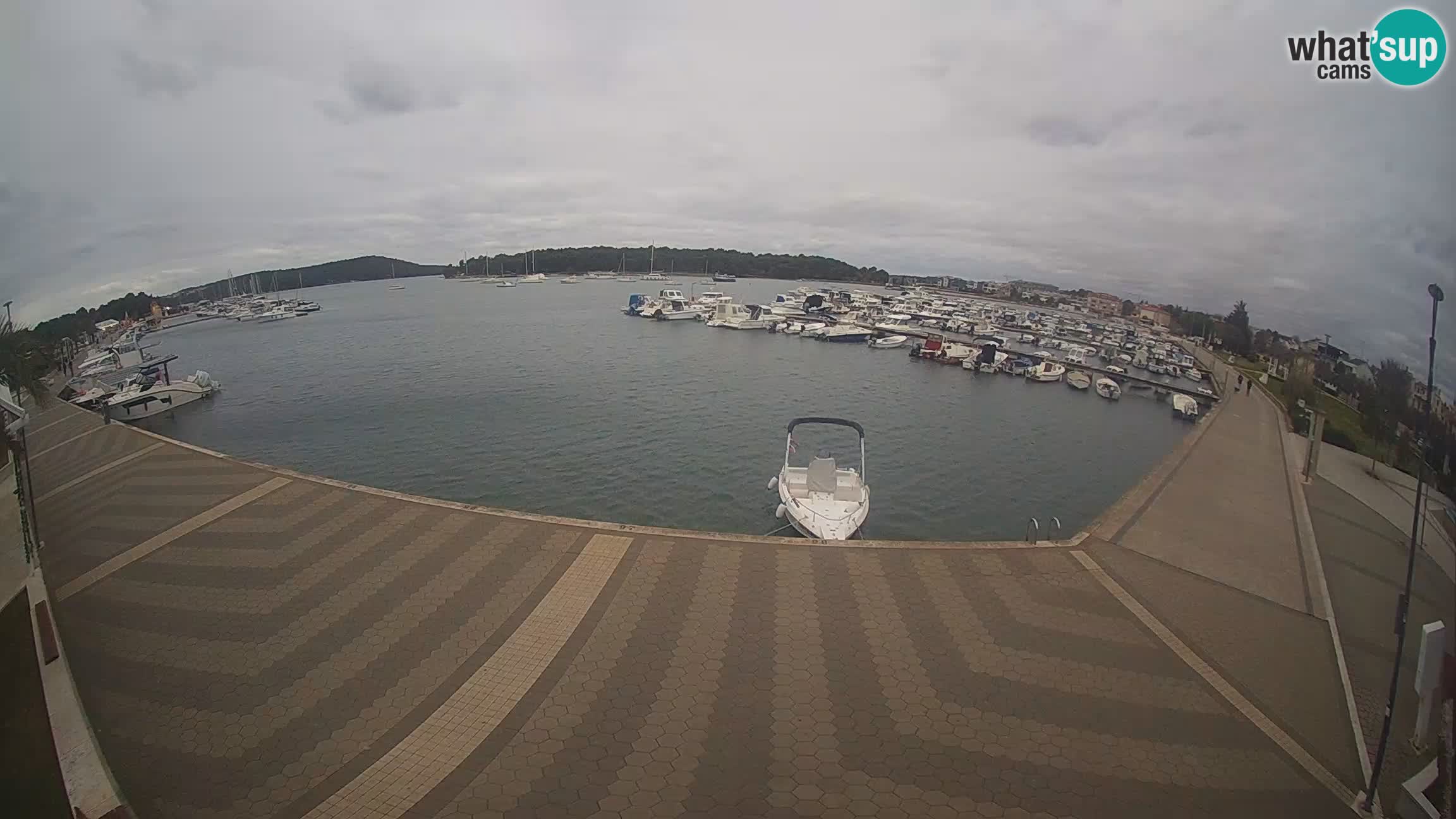 LIVE webcam Medulin marina