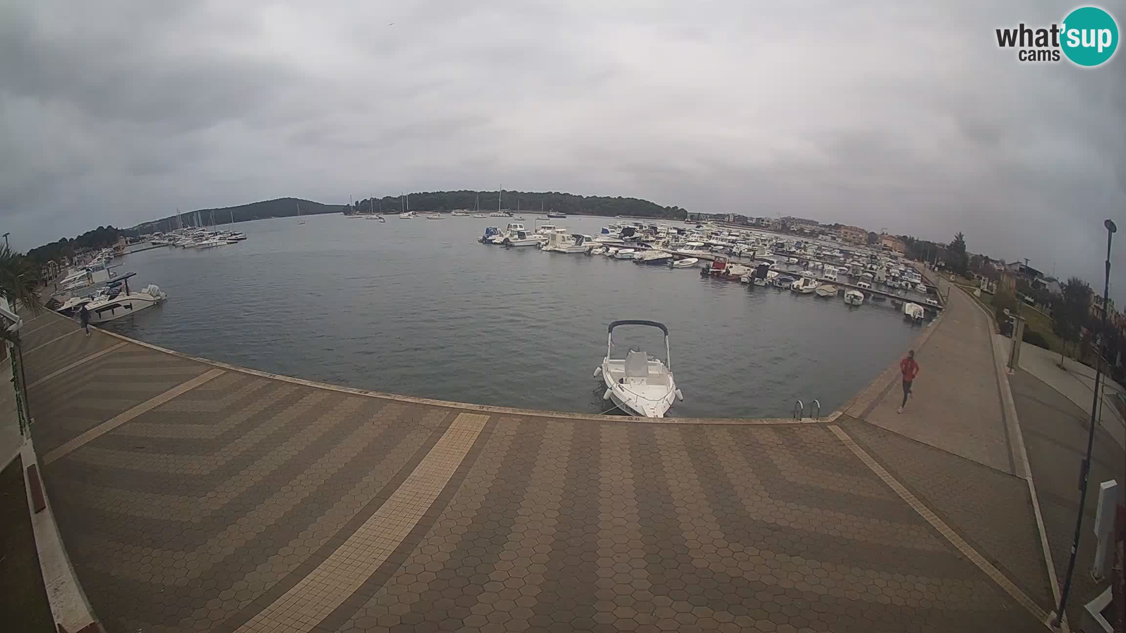 LIVE webcam Medulin marina