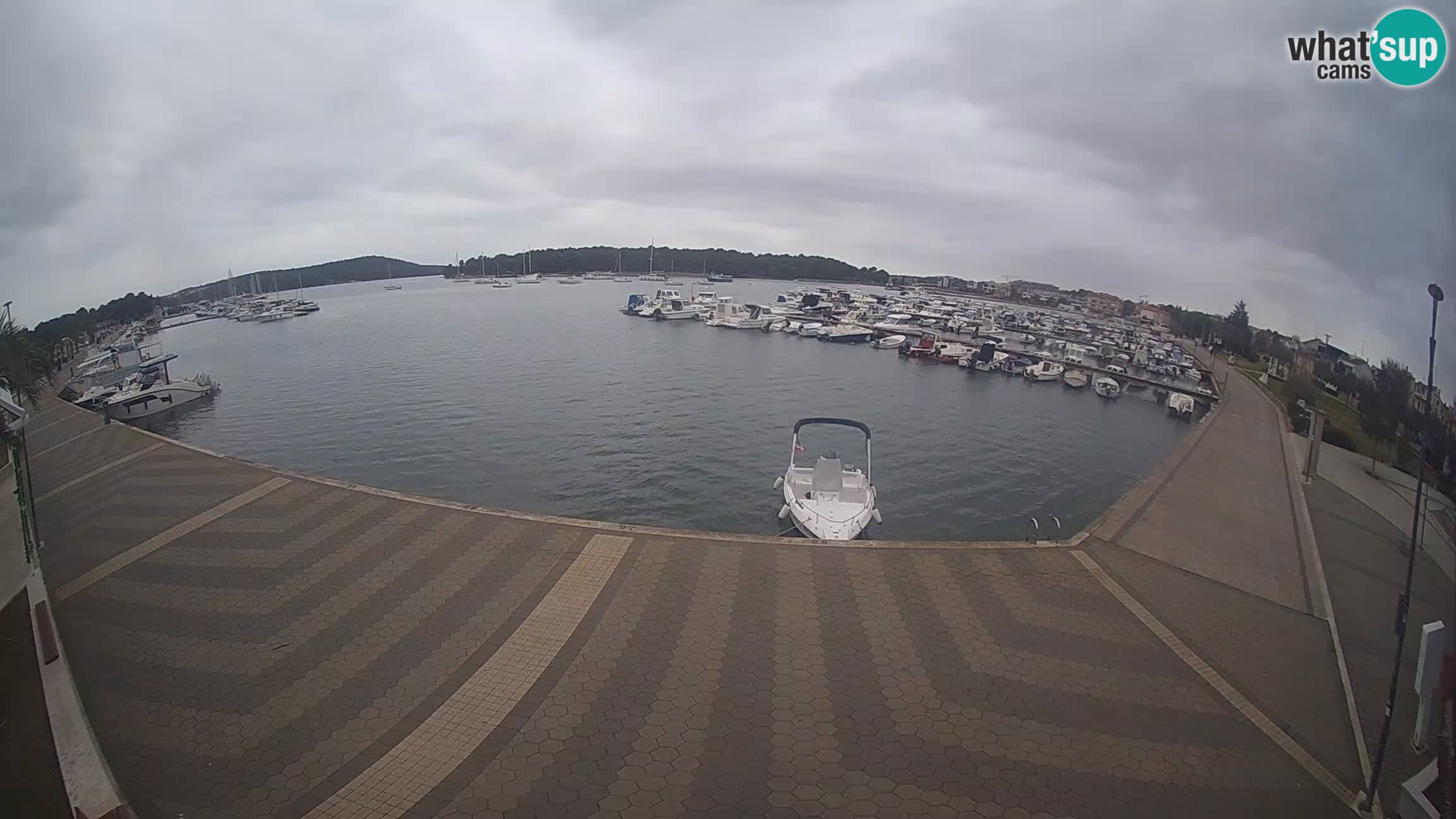 Livecam Medulin marina