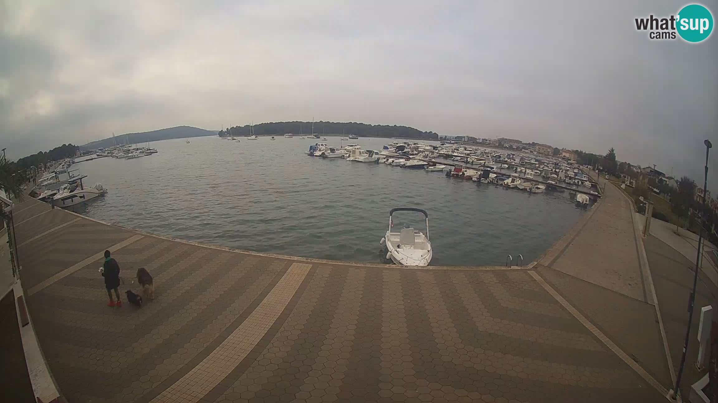 Livecam Medulin marina