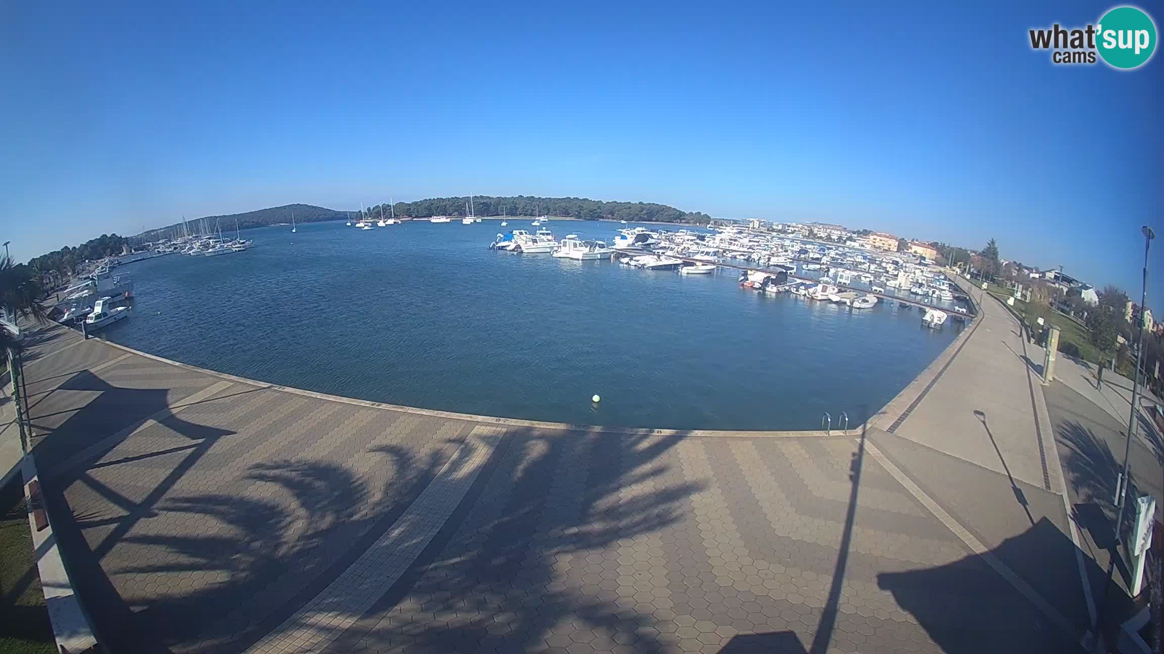 Livecam Medulin marina