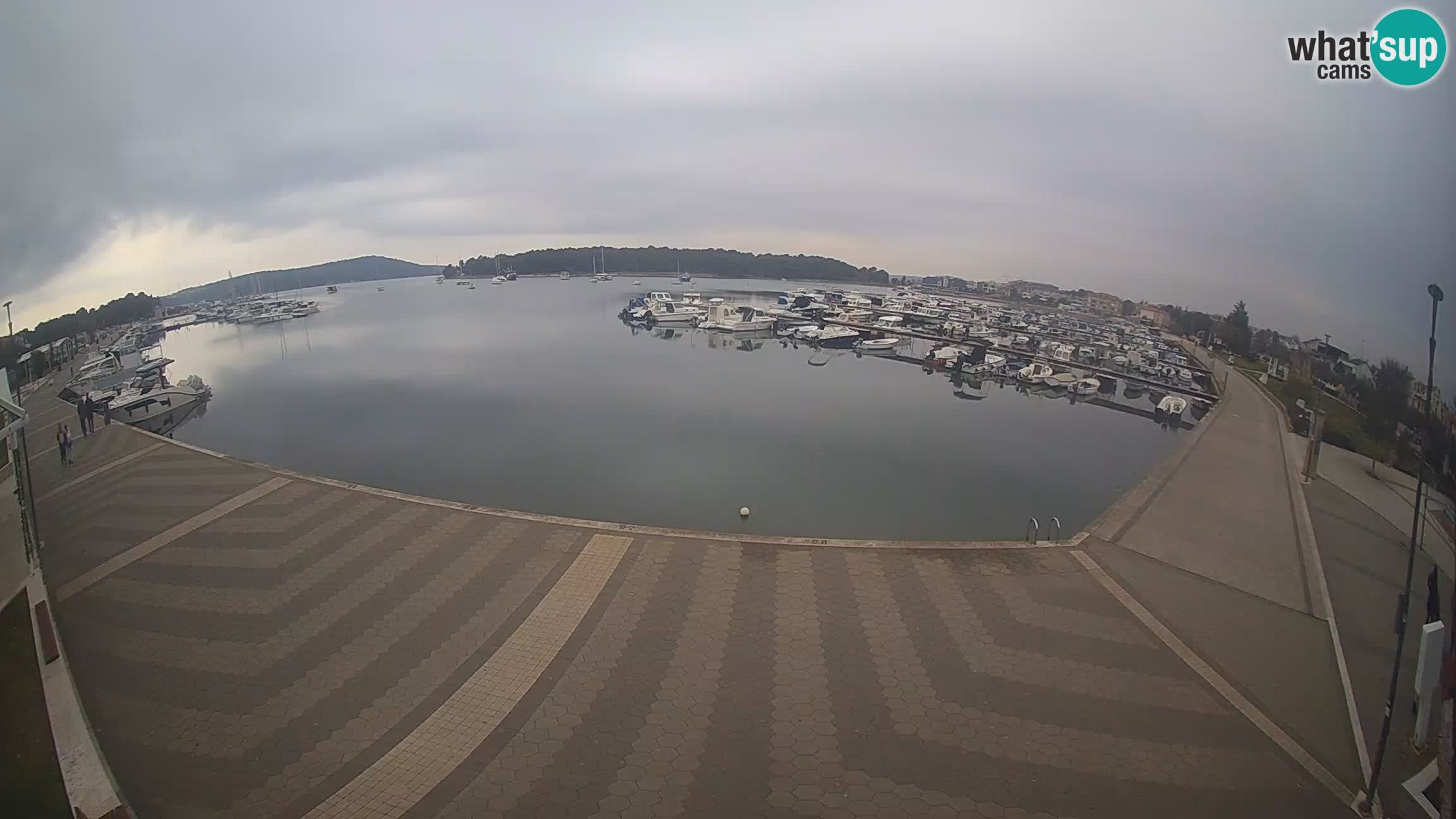 LIVE webcam Medulin marina