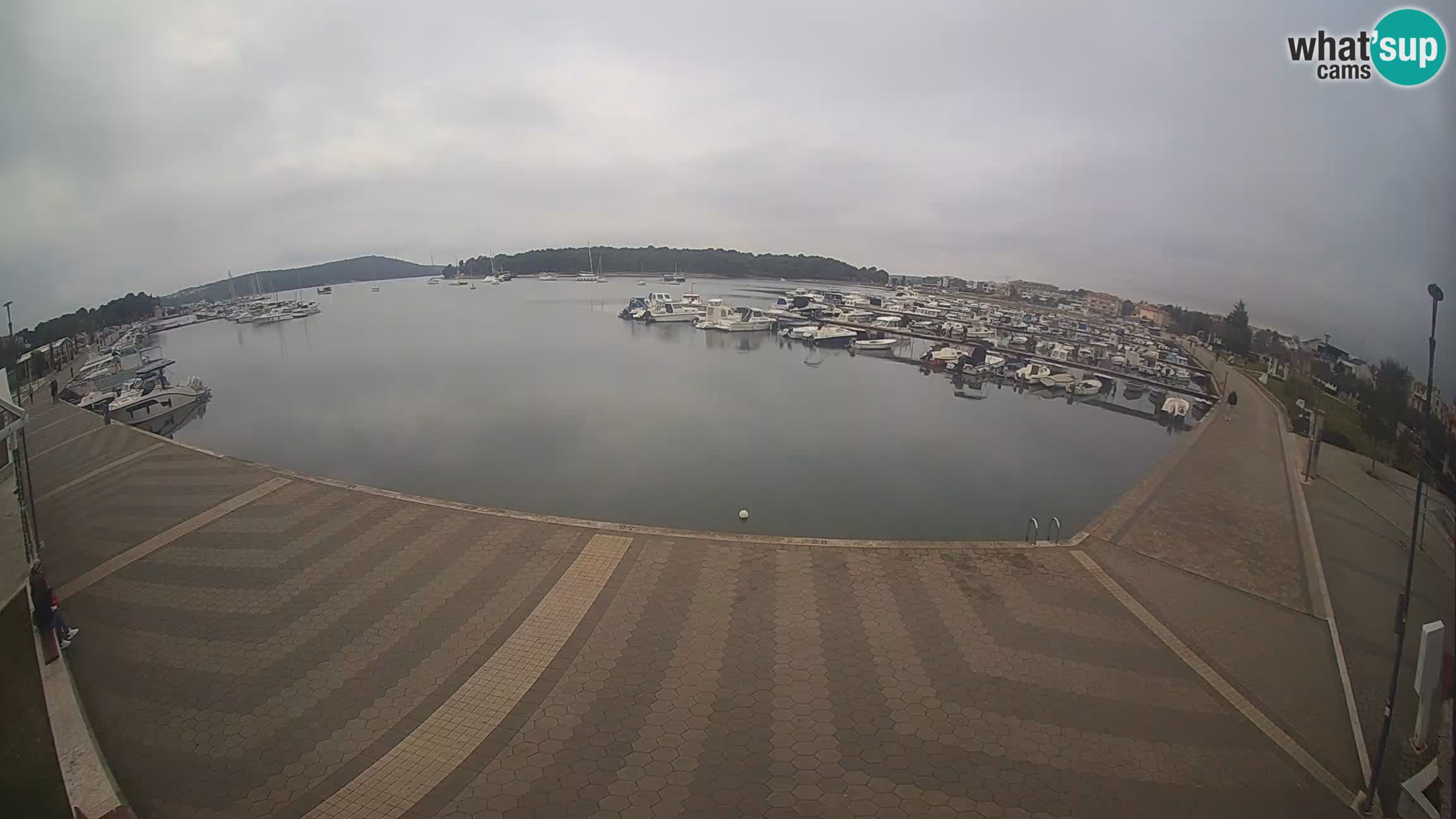 Livecam Medulin marina