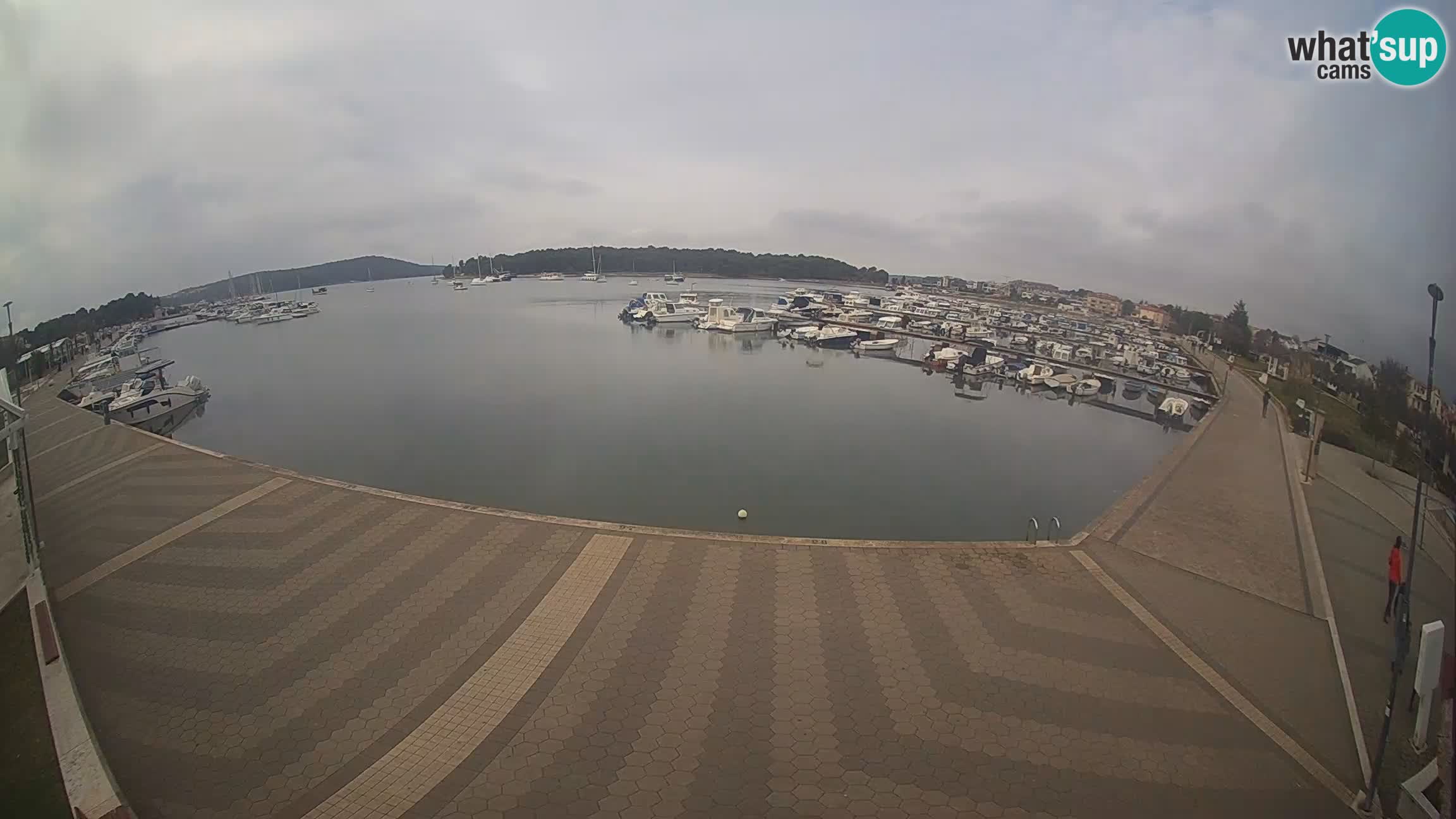 Livecam Medulin marina