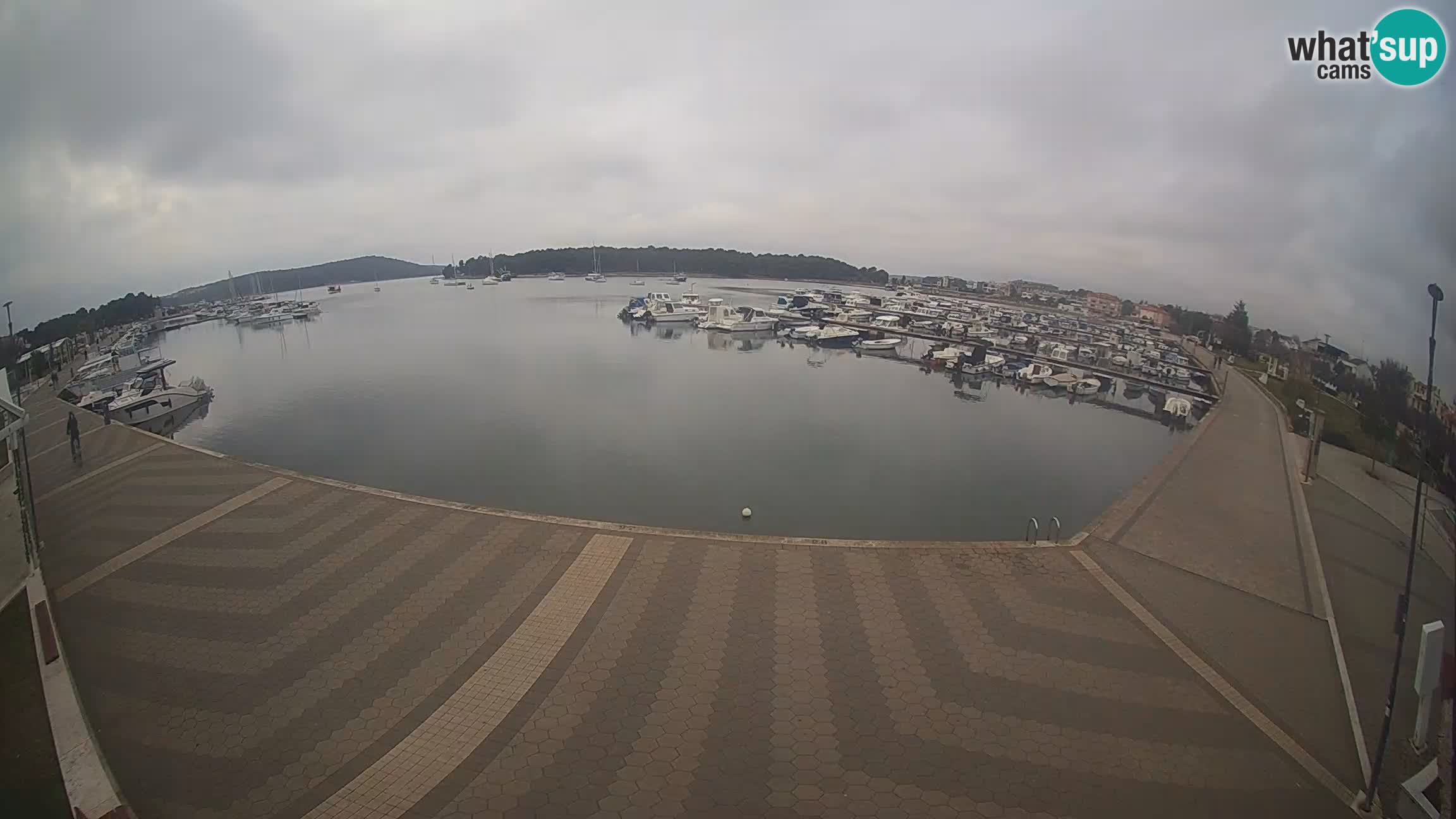 LIVE webcam Medulin marina