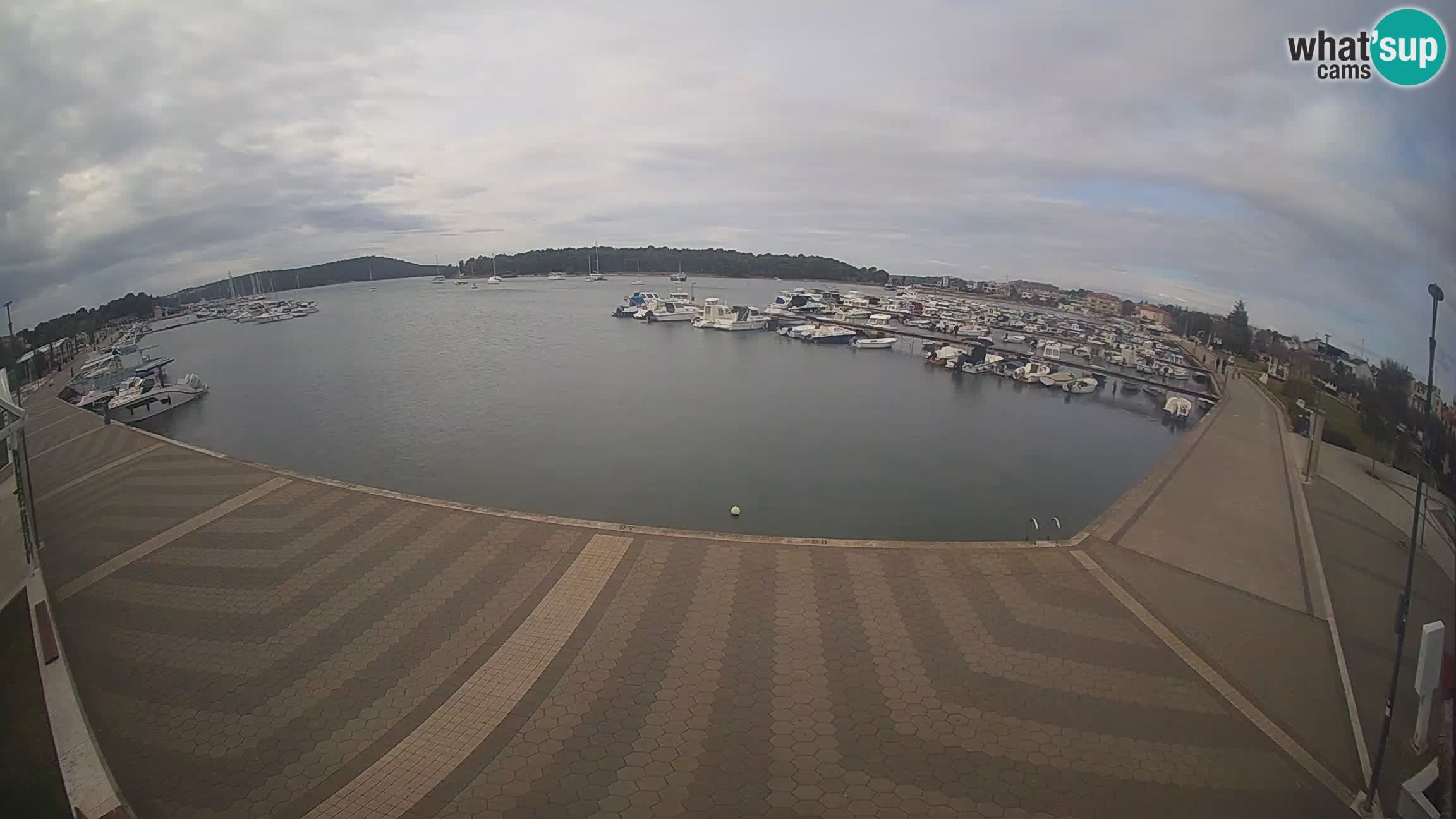 Livecam Medulin marina