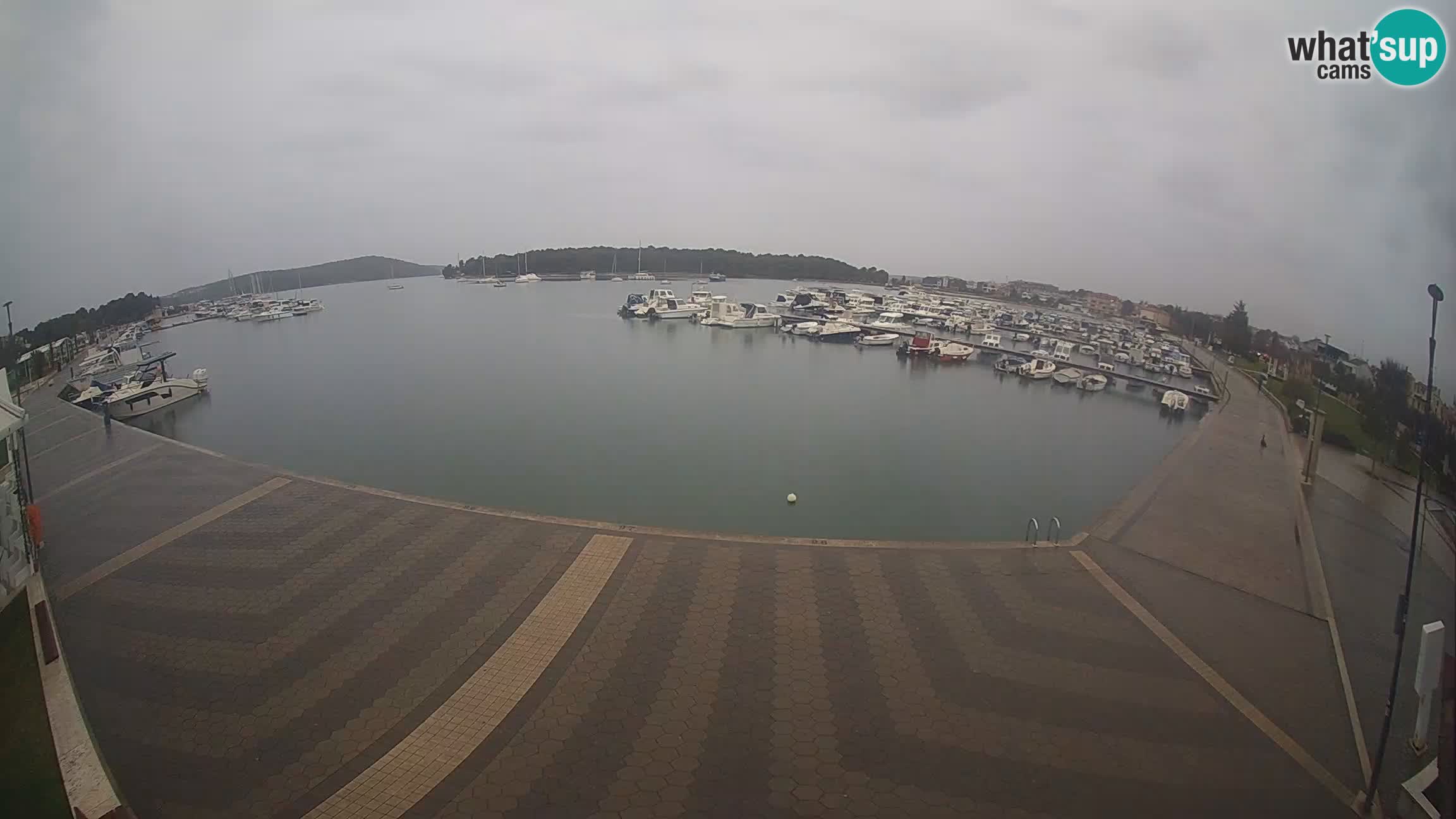 LIVE webcam Medulin marina