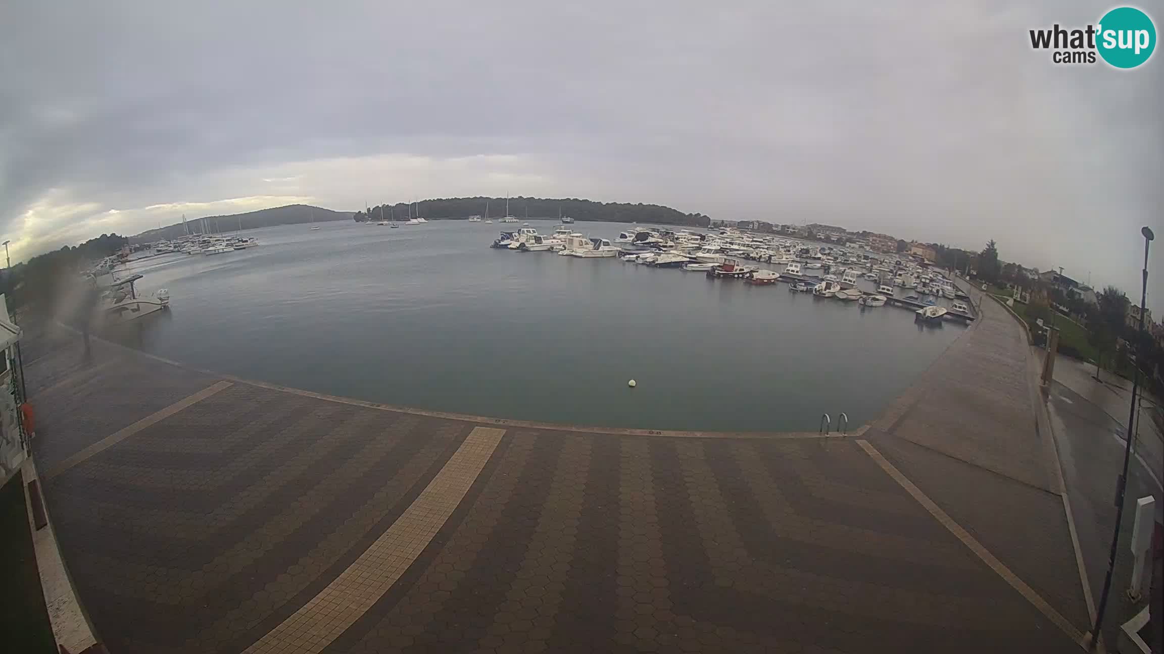 Livecam Medulin marina