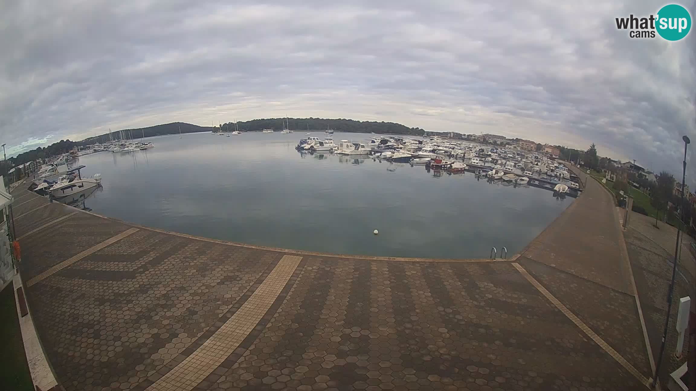 LIVE webcam Medulin marina