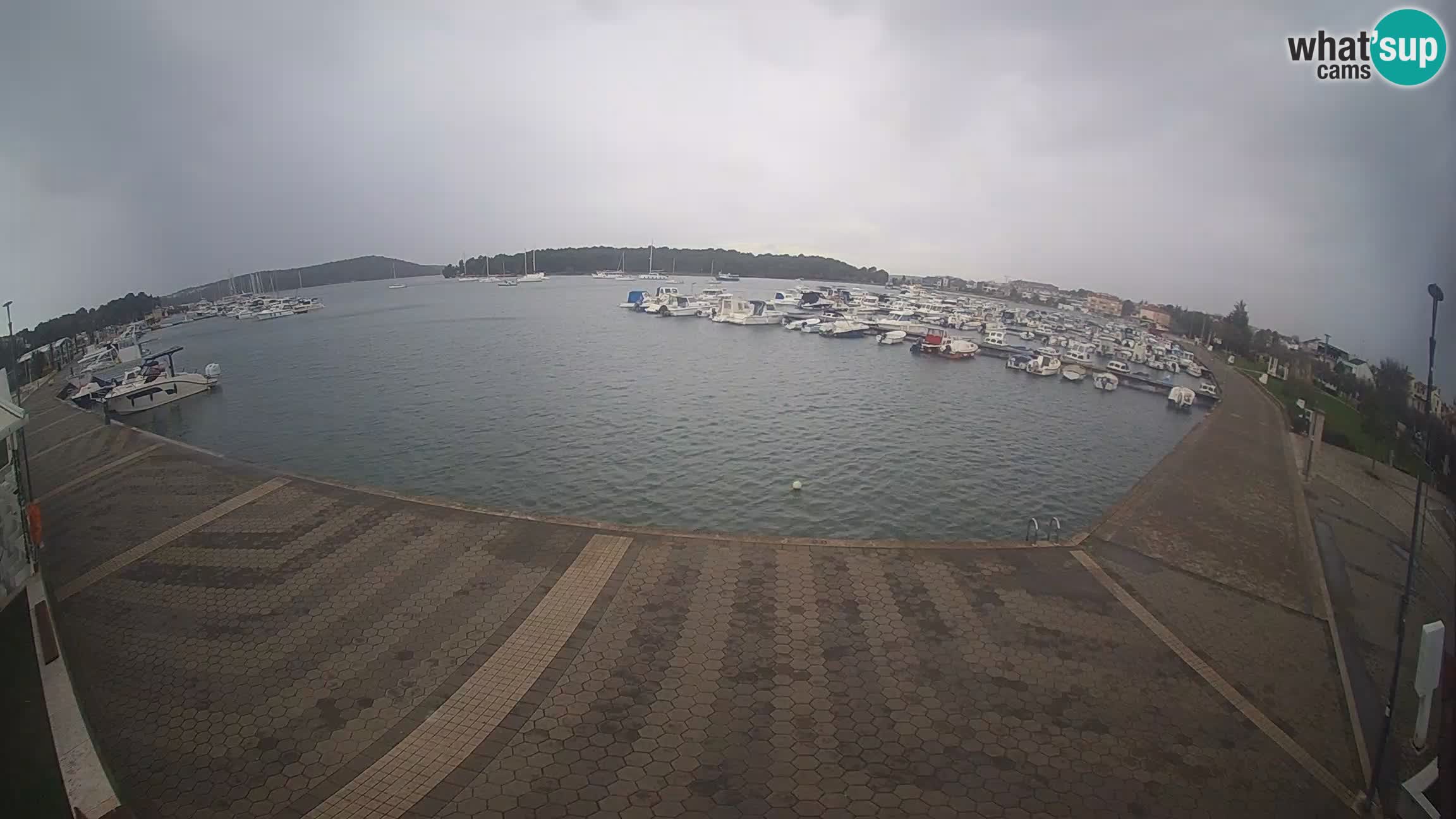 LIVE webcam Medulin marina