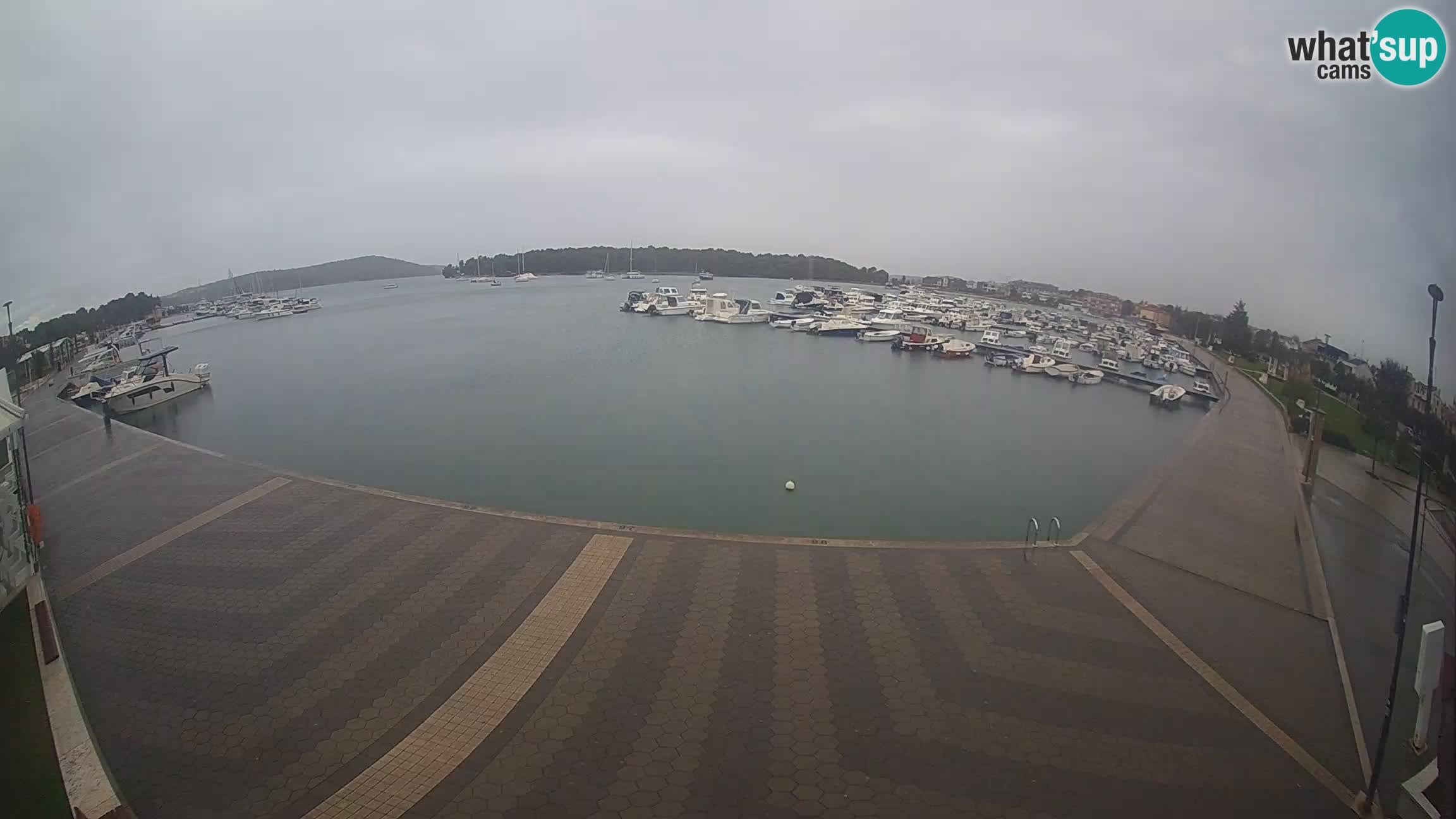 LIVE webcam Medulin marina