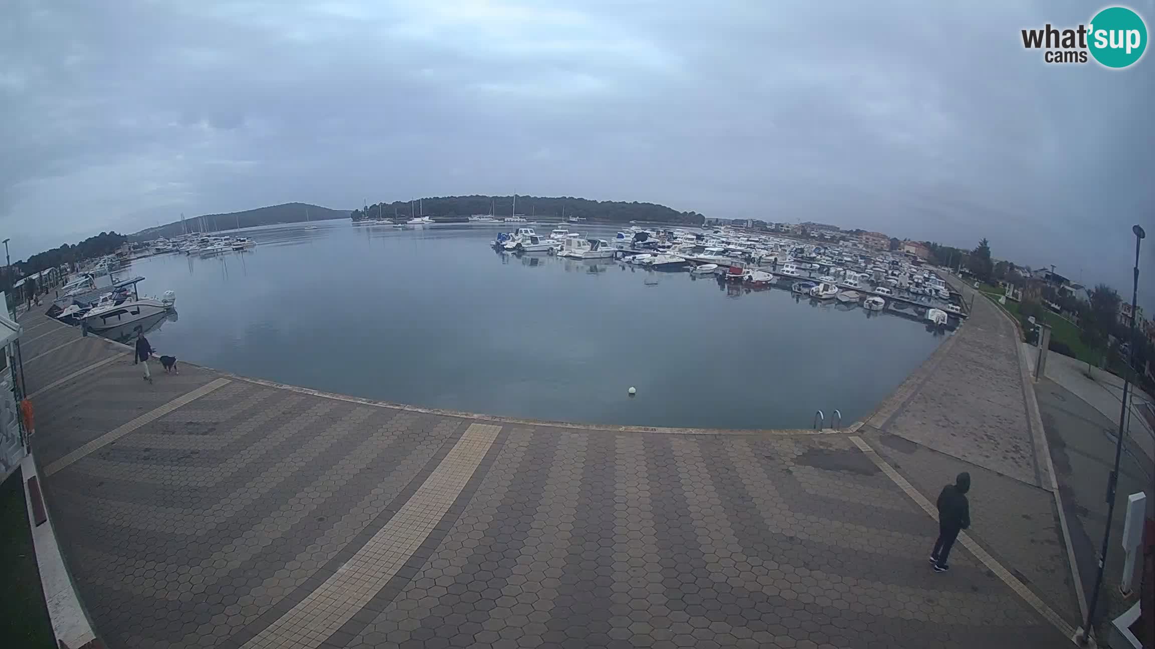 Livecam Medulin marina