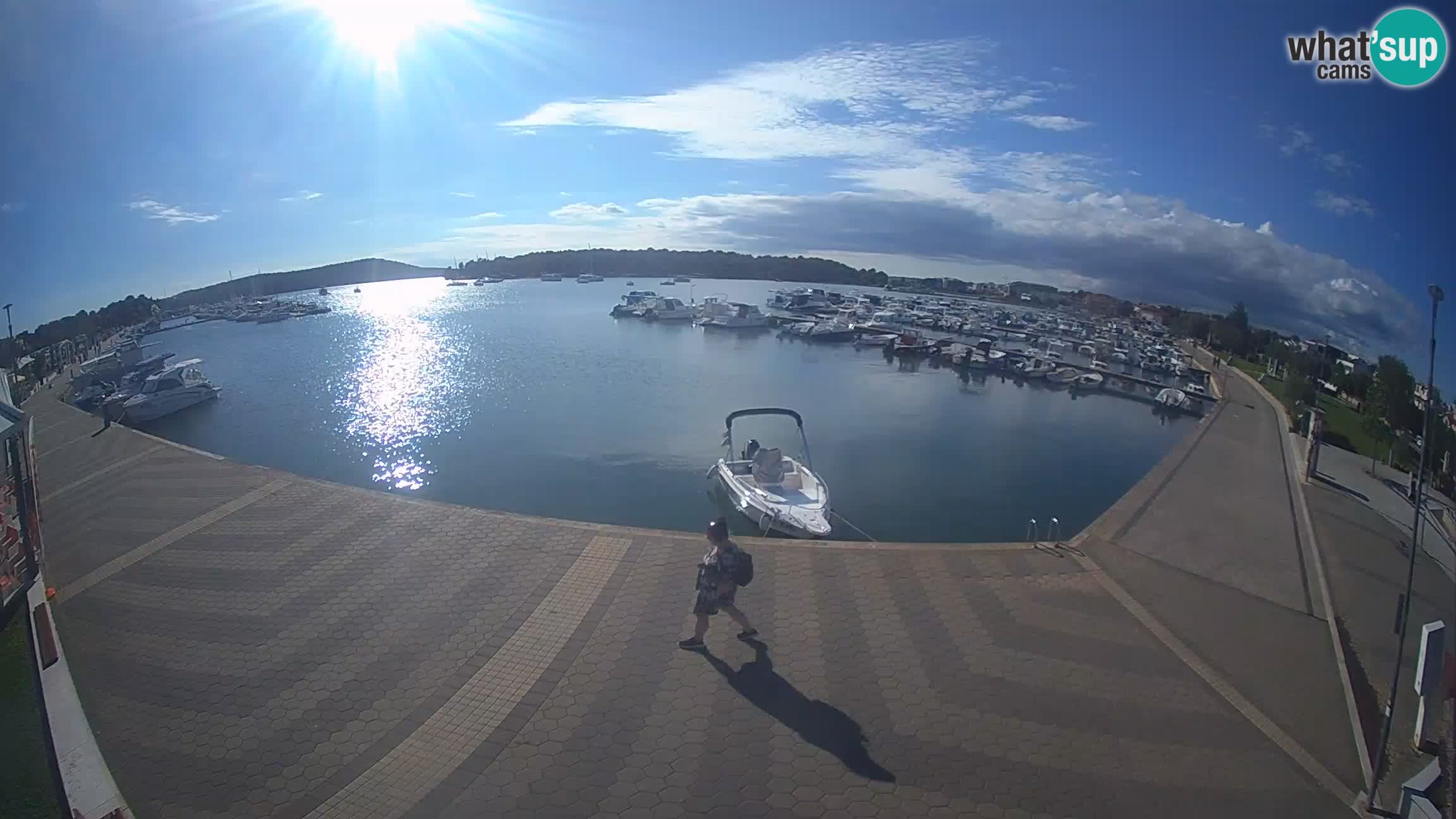 Camera en vivo Medulin marina