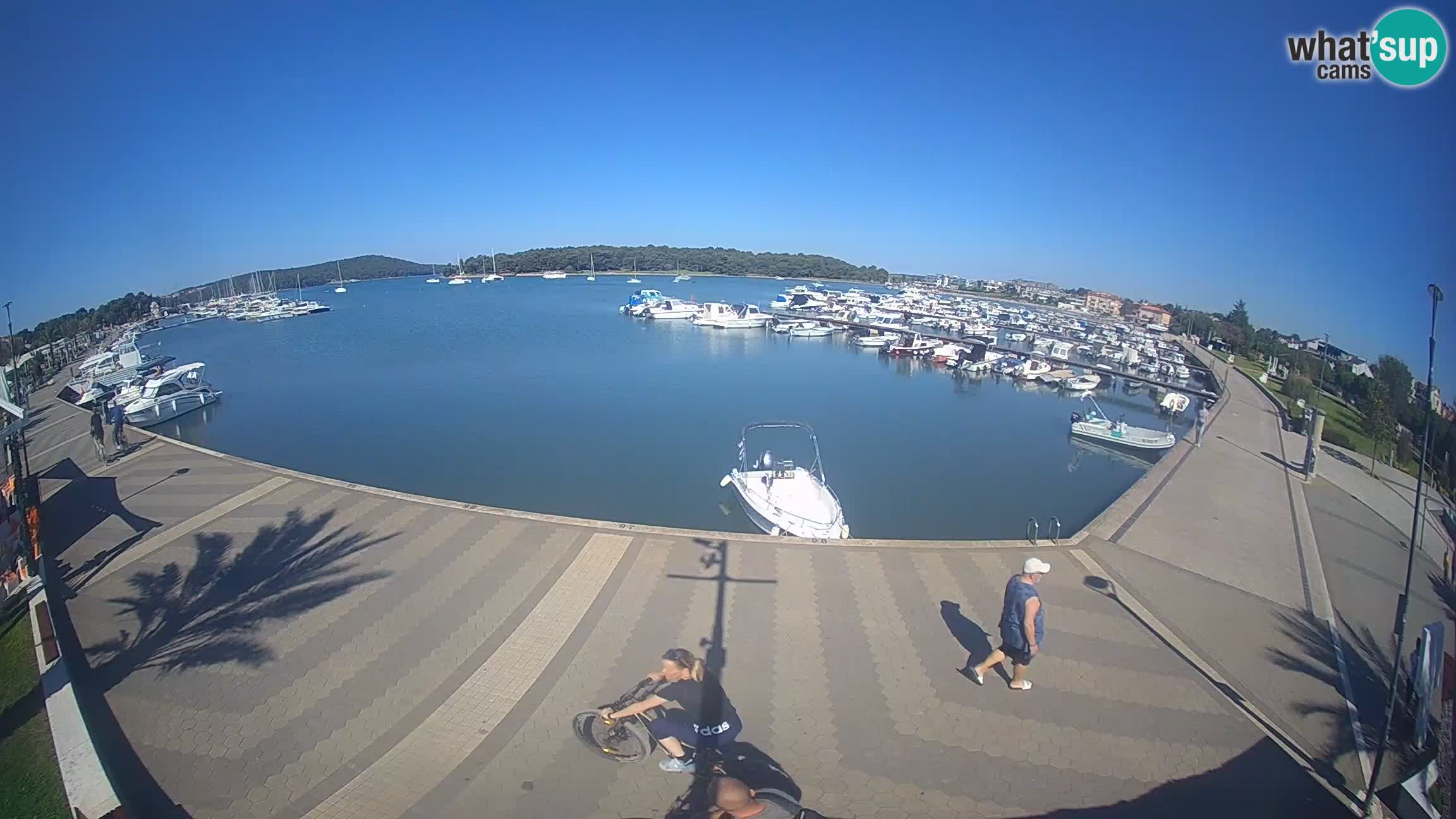 Medulin Webcam LIVE – Marina