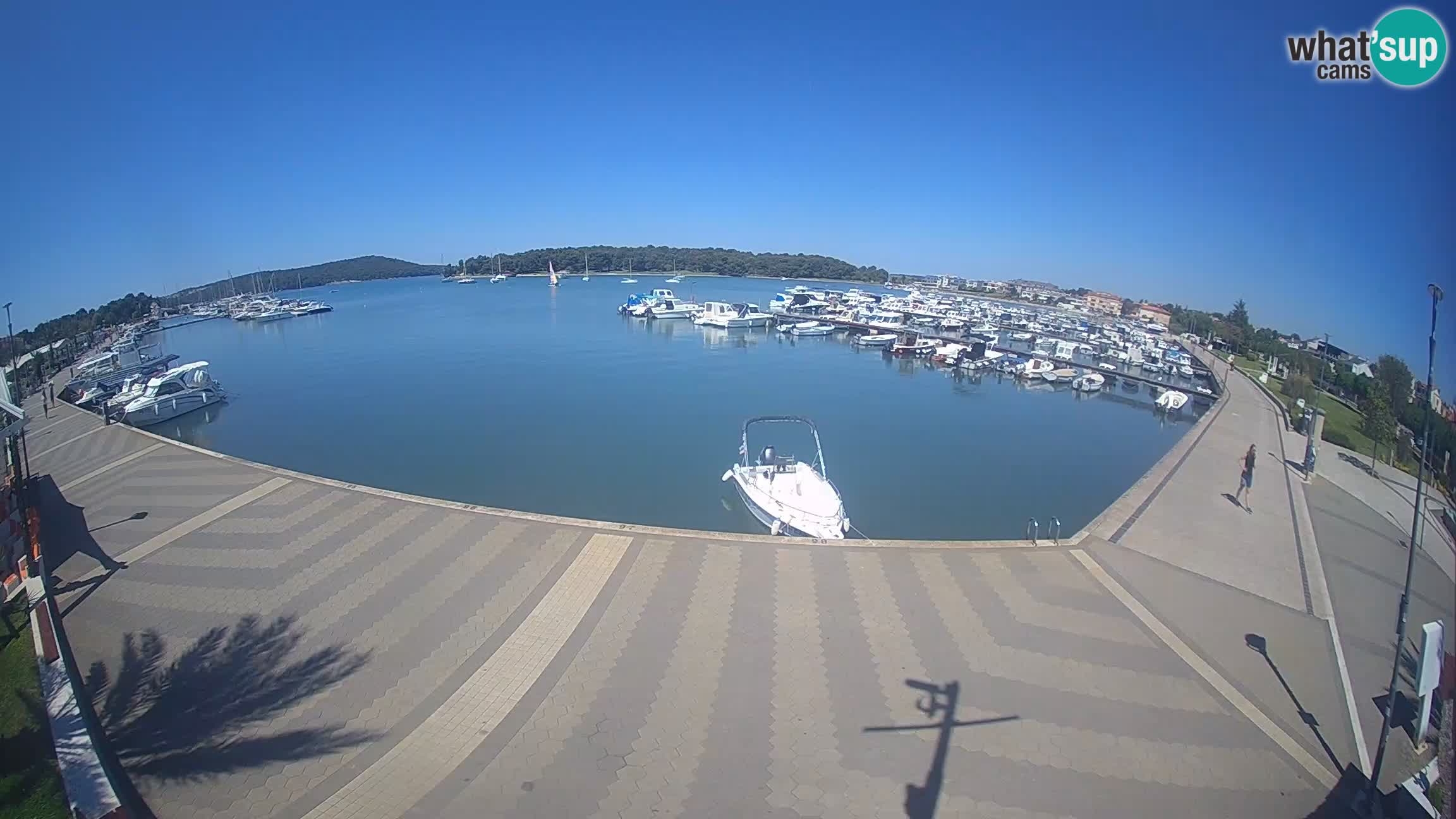 Livecam Medulin marina