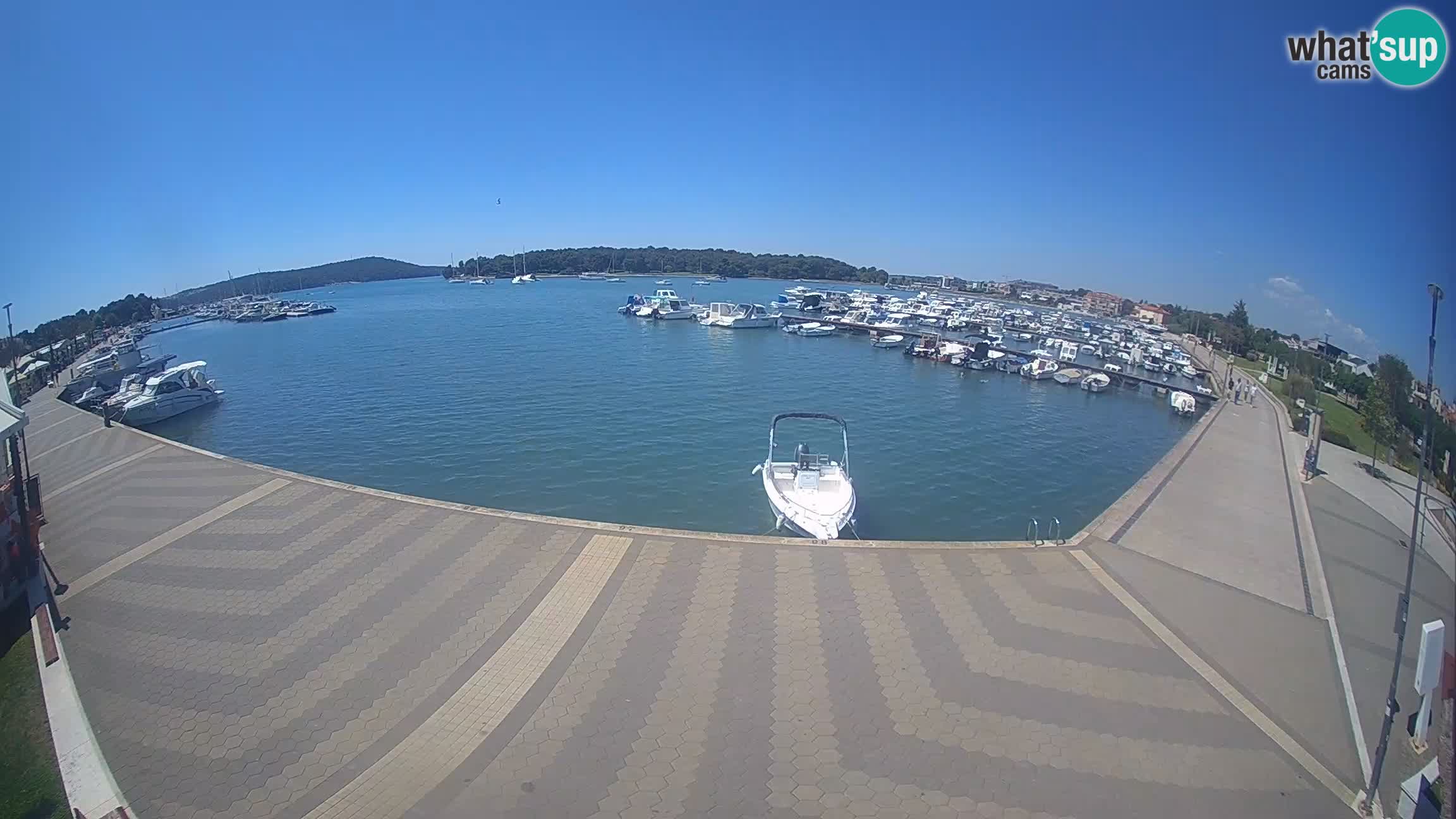 Camera en vivo Medulin marina