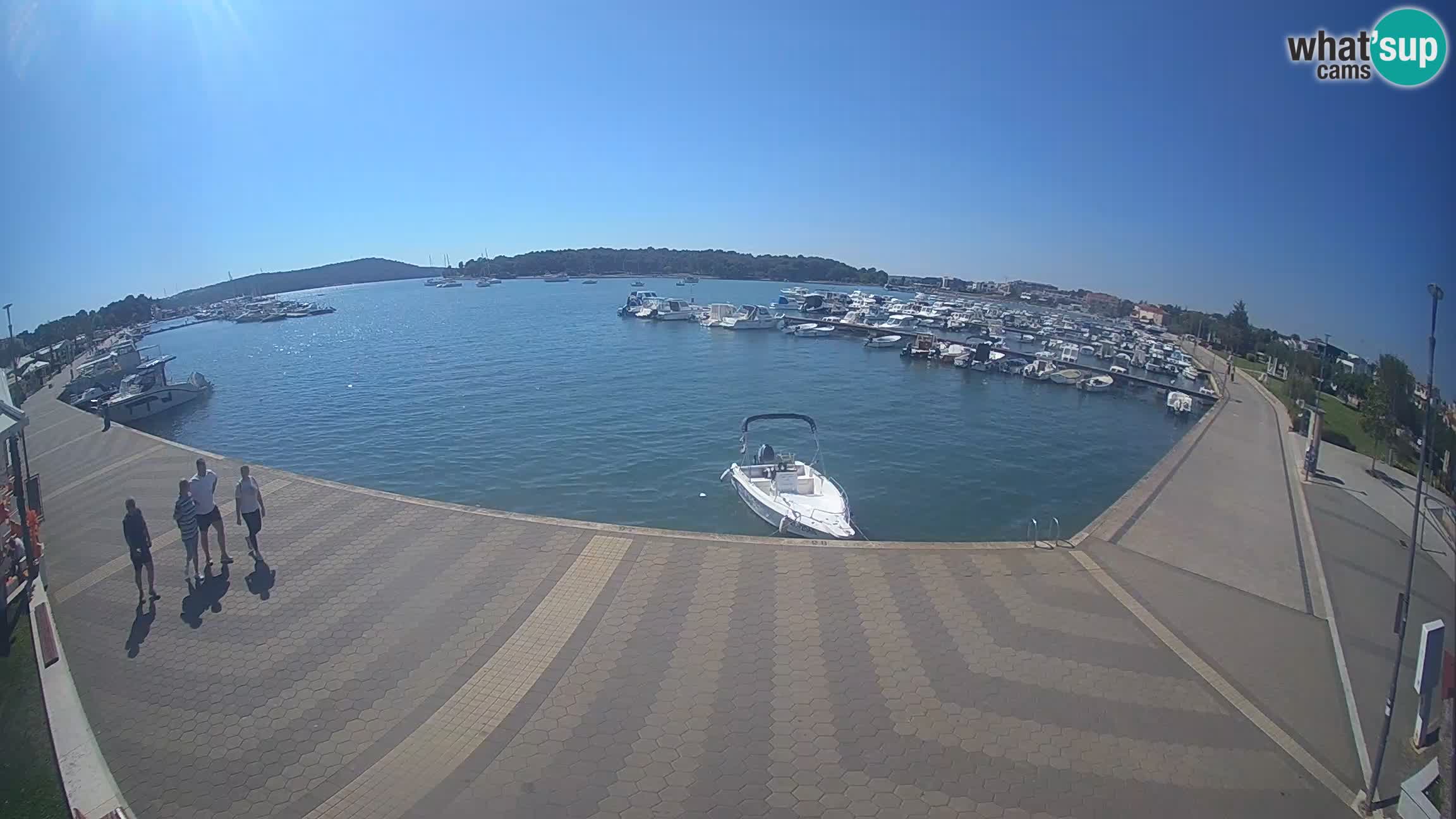 Camera en vivo Medulin marina