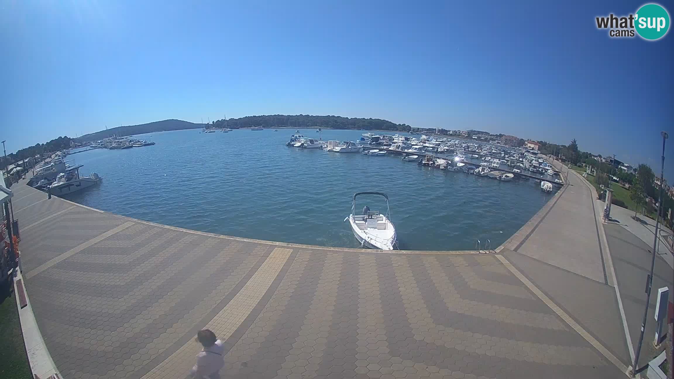 Livecam Medulin marina