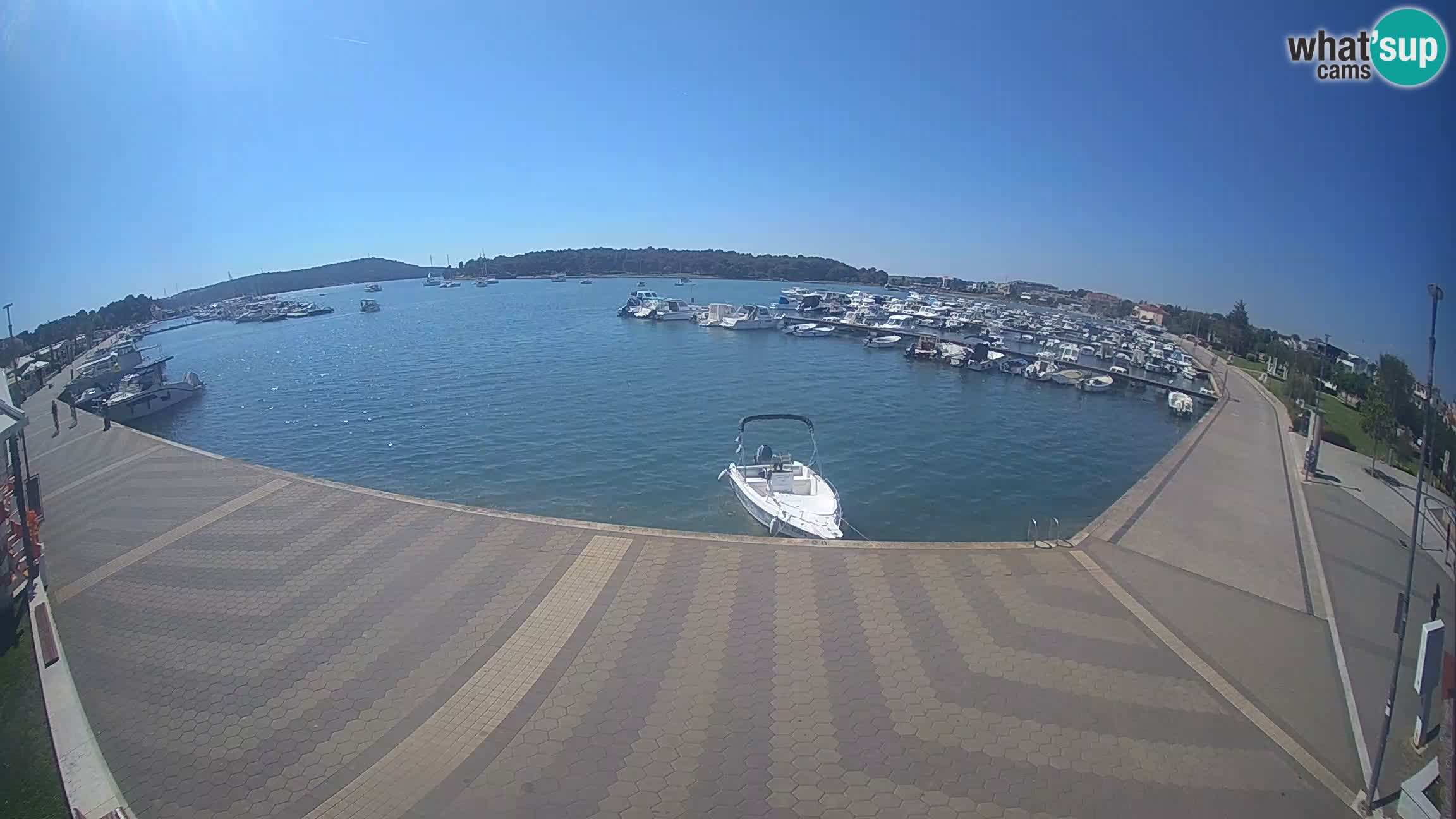 Livecam Medulin marina