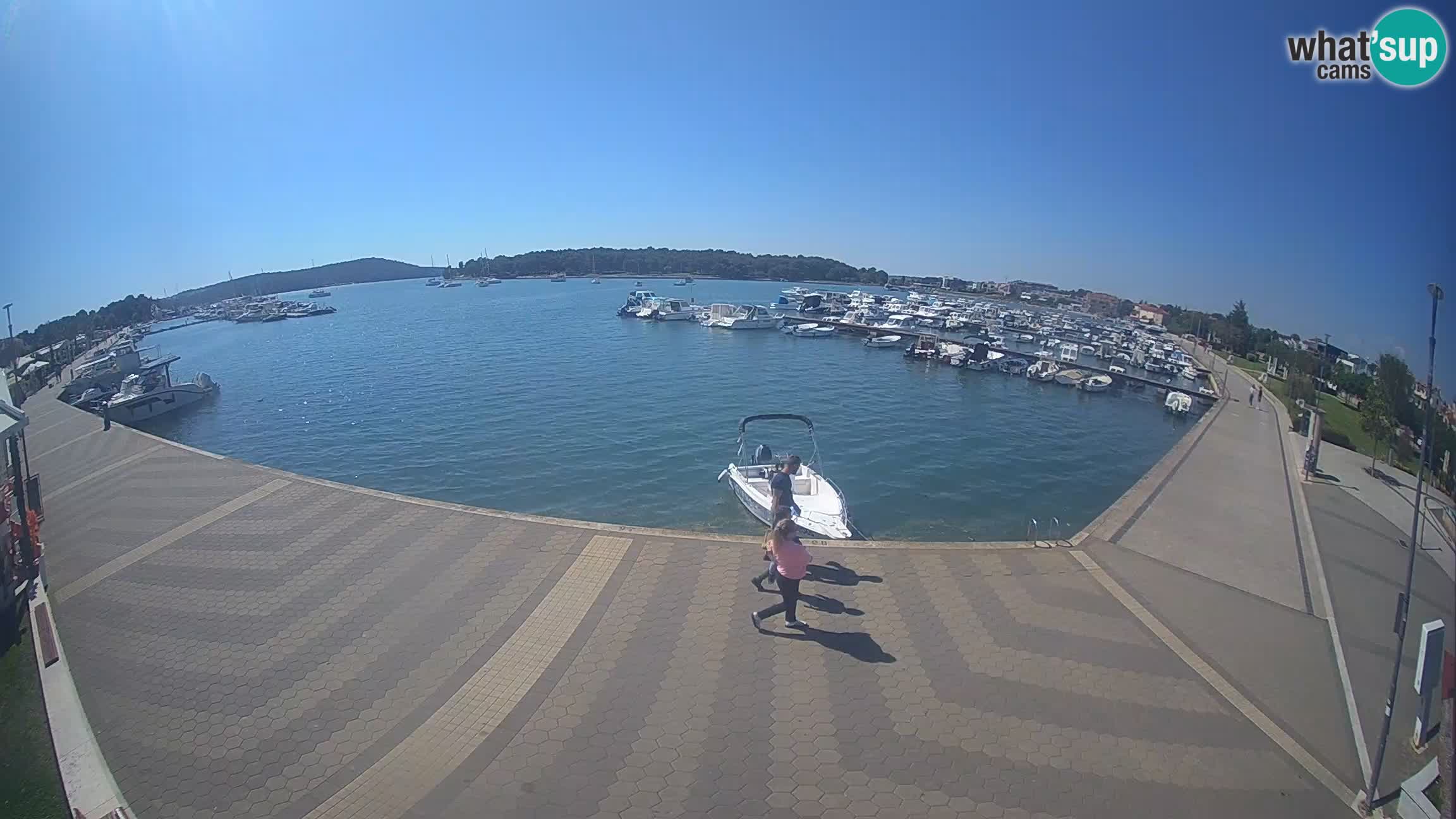 Camera en vivo Medulin marina