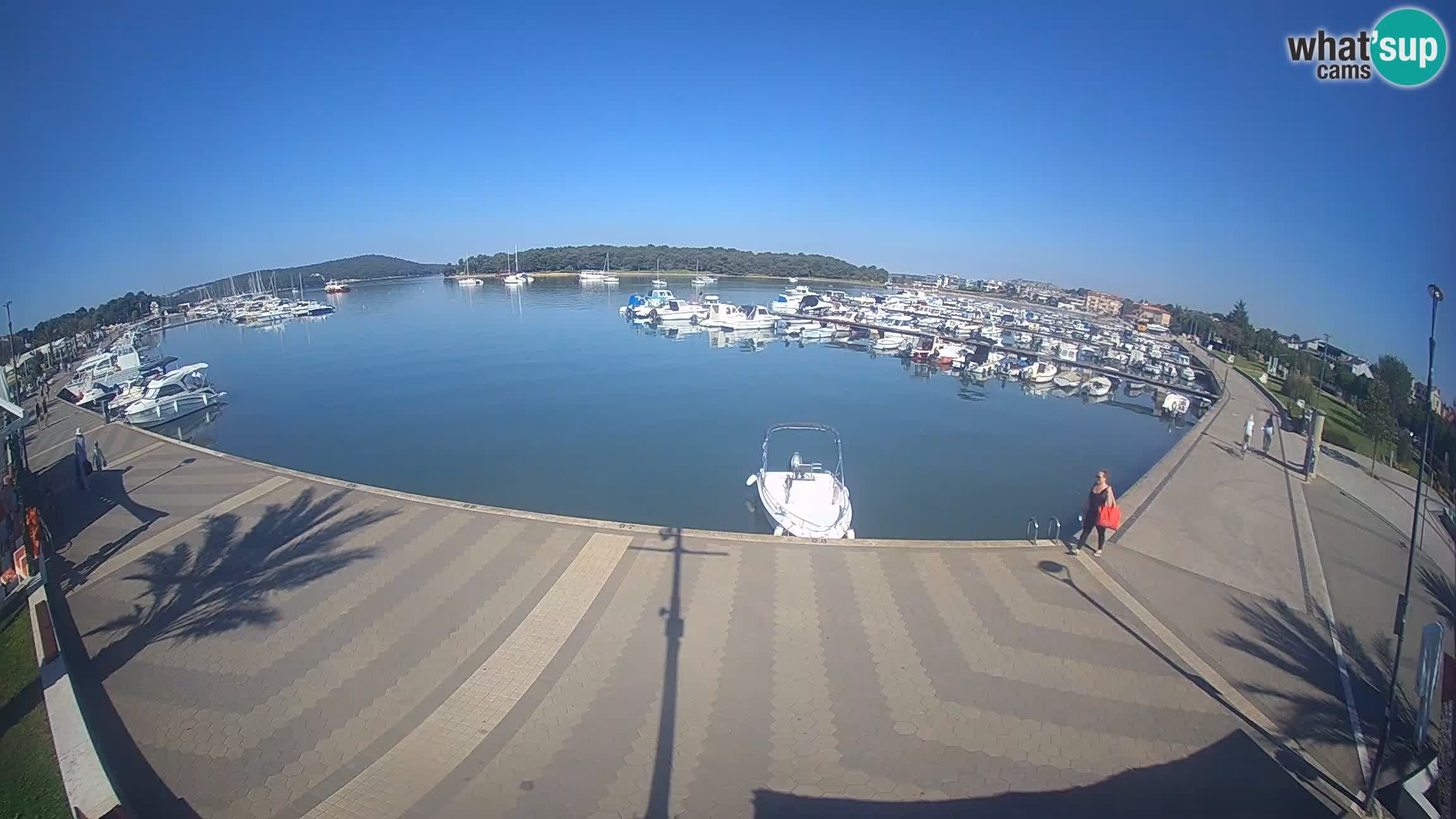Camera en vivo Medulin marina