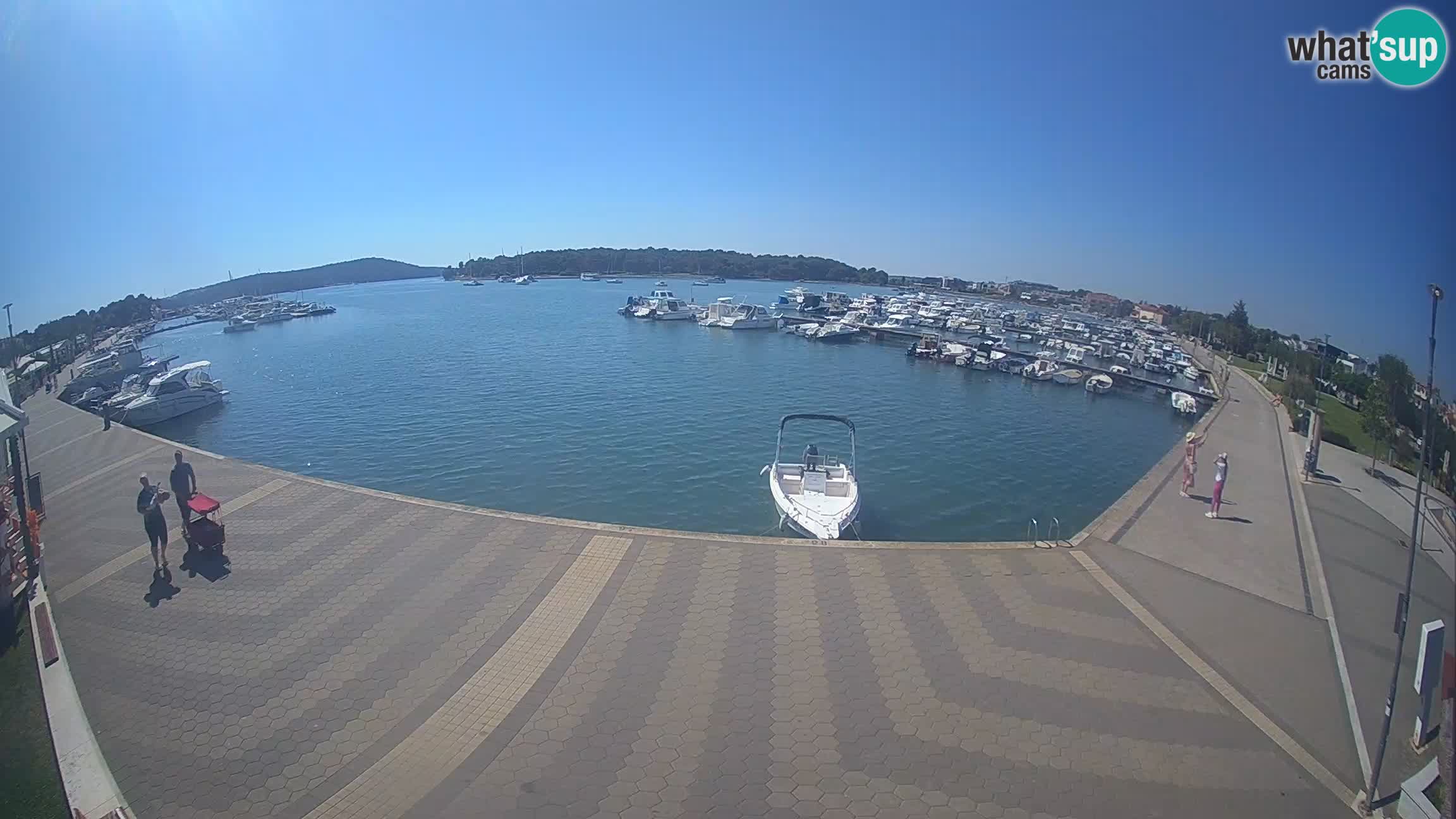 Camera en vivo Medulin marina