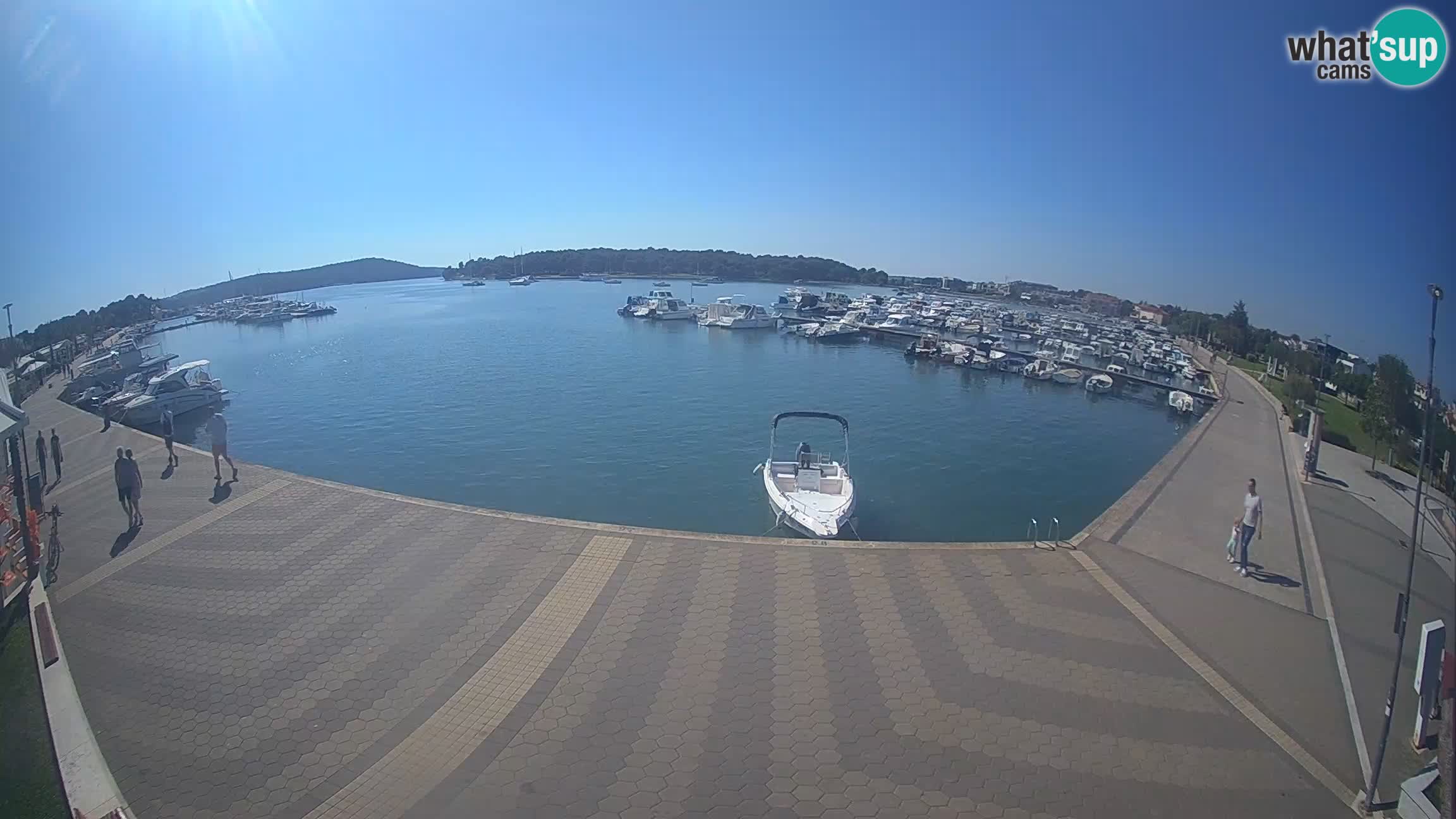 Camera en vivo Medulin marina