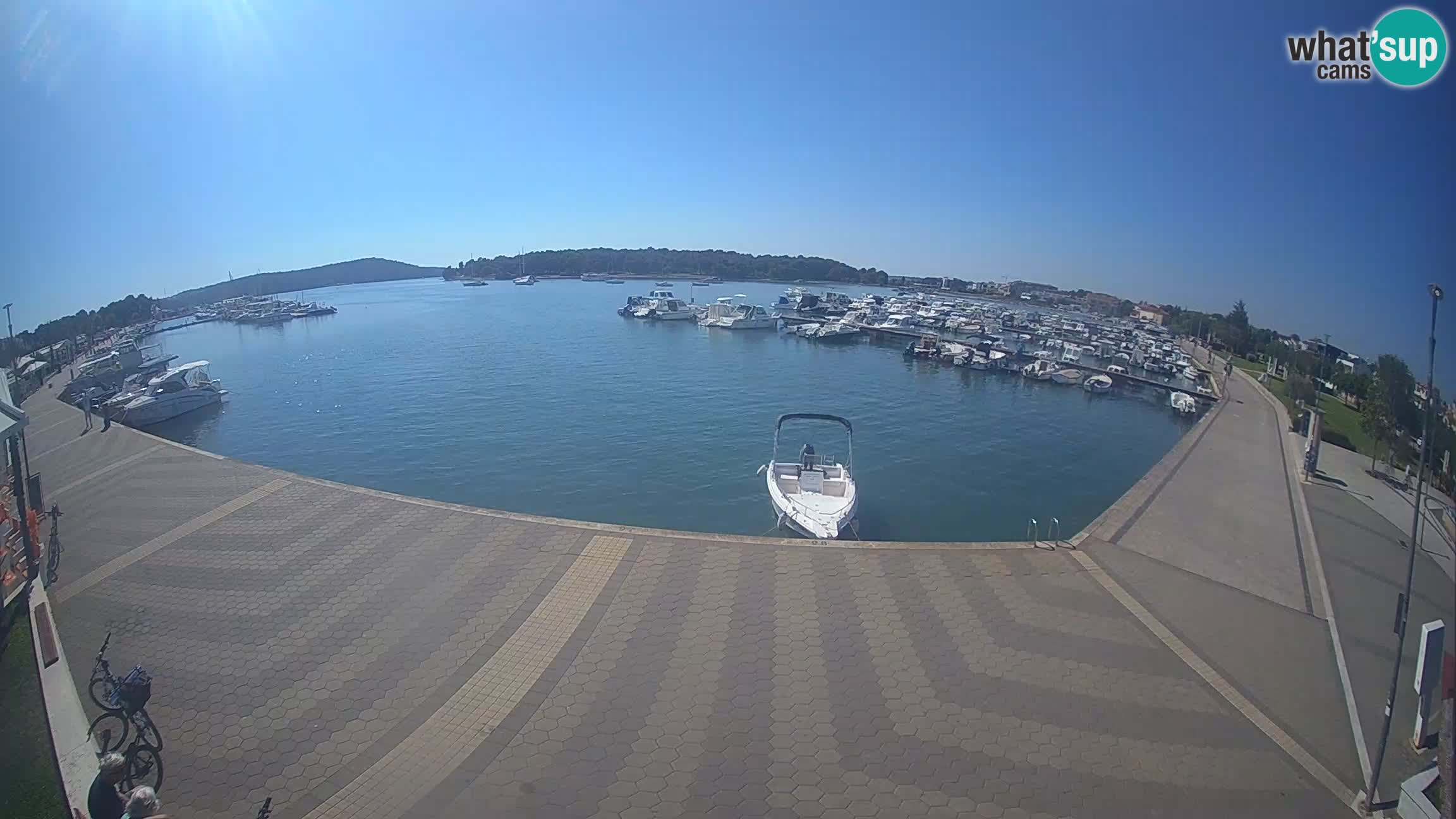 Camera en vivo Medulin marina
