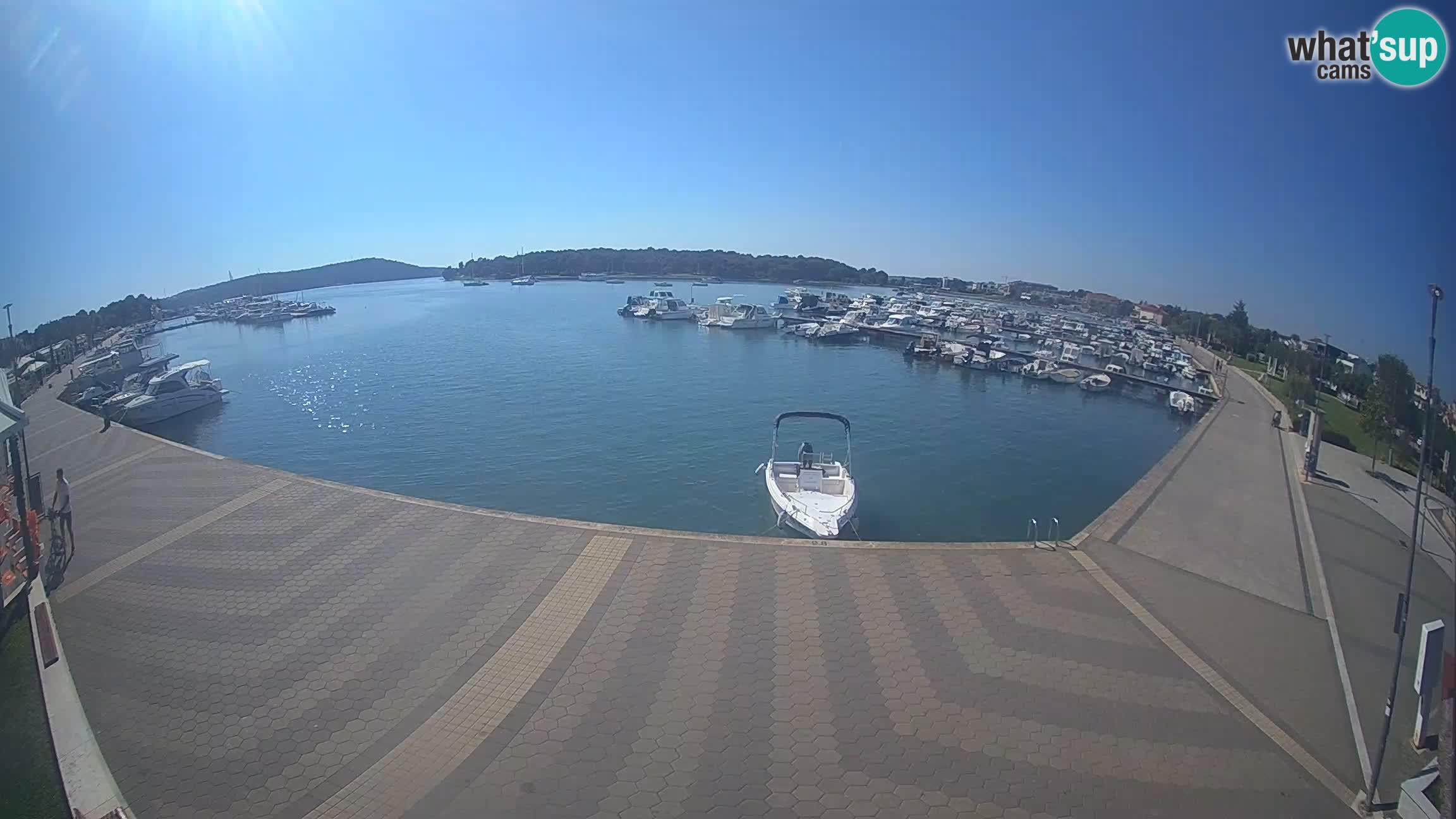 Camera en vivo Medulin marina