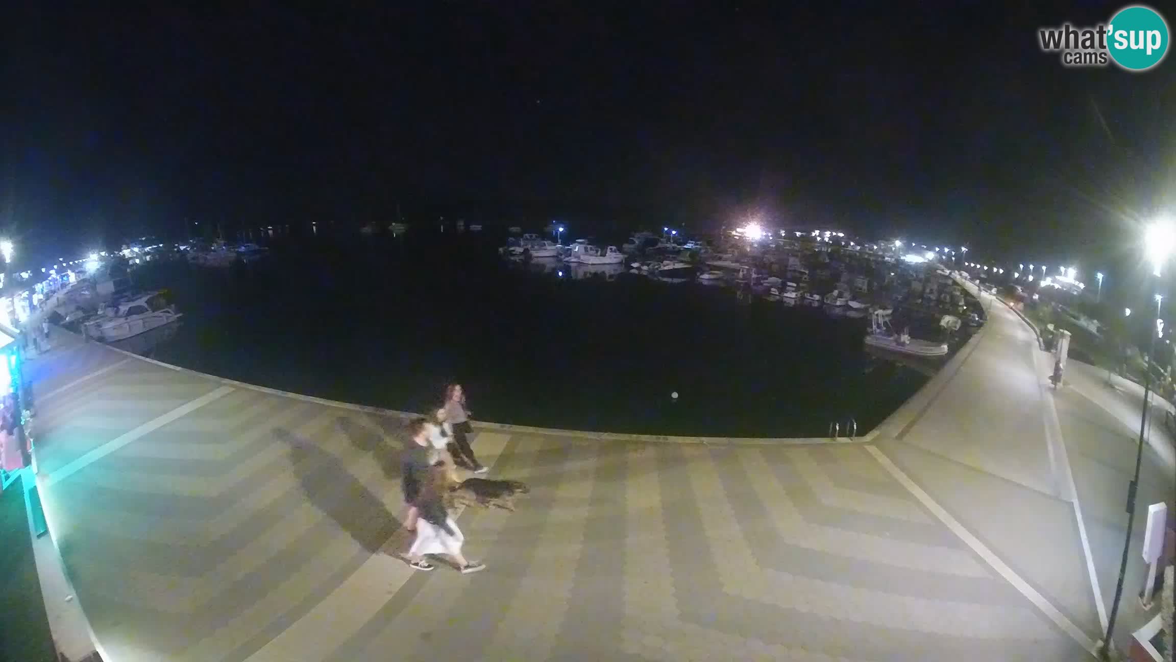 LIVE webcam Medulin marina