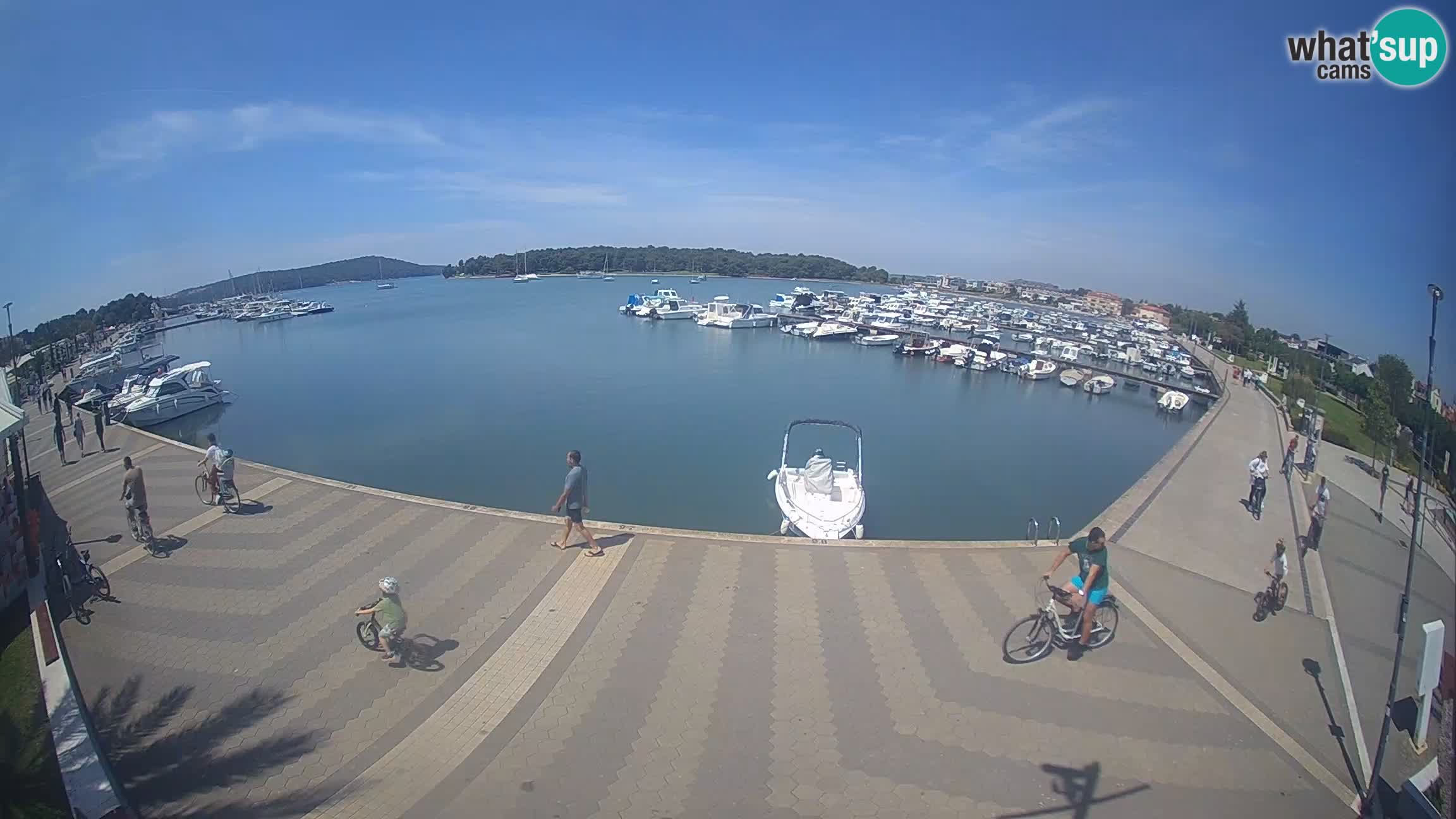 Livecam Medulin marina