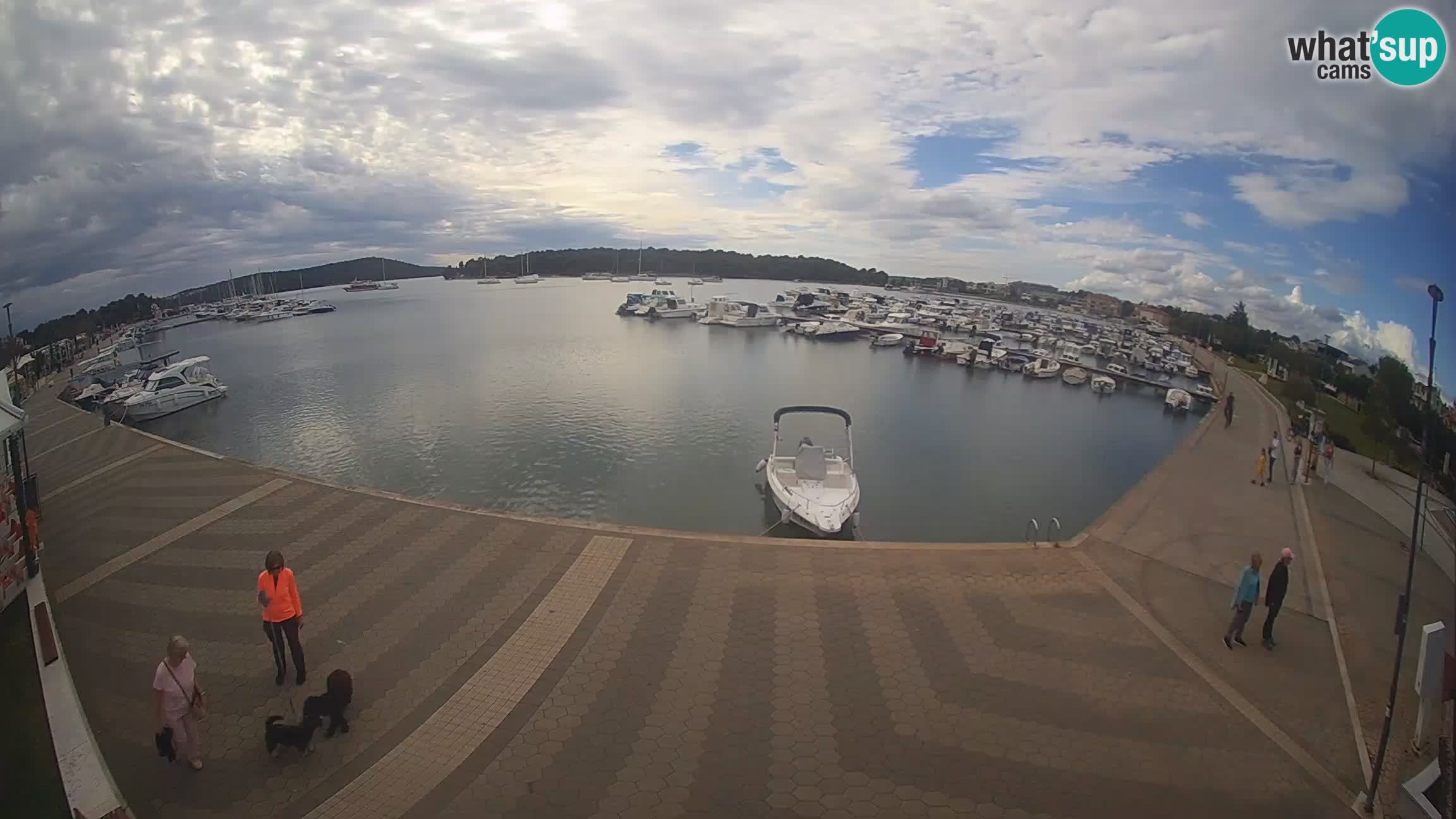 Livecam Medulin marina