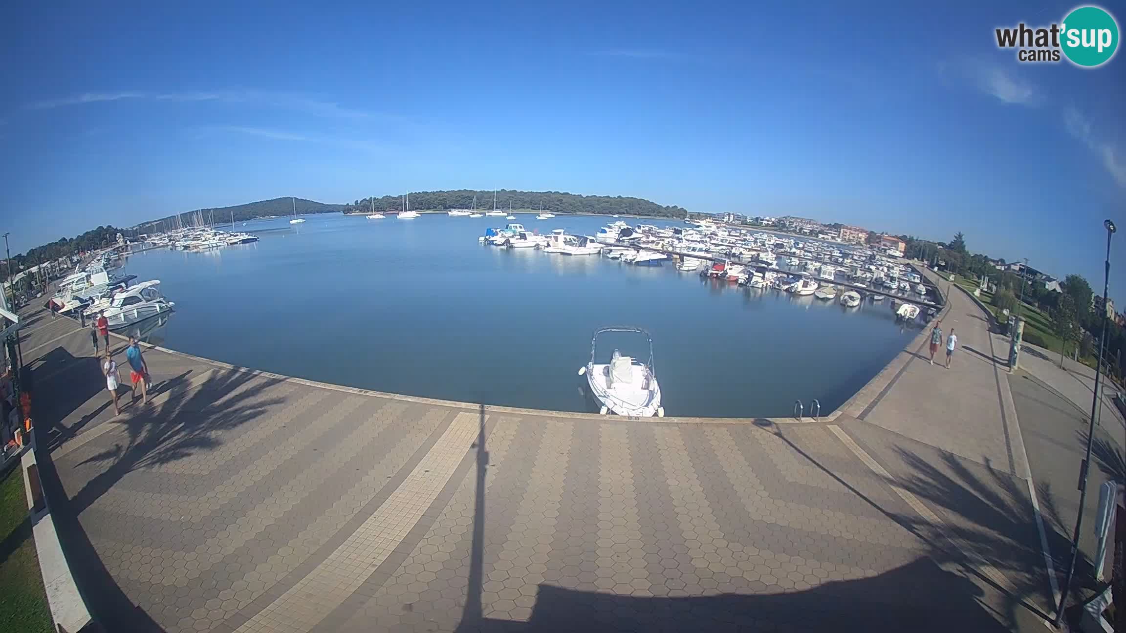 Camera en vivo Medulin marina