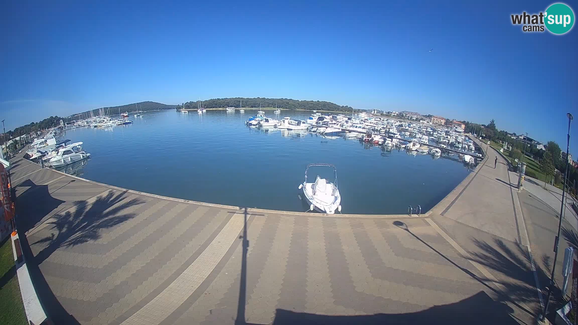 Livecam Medulin marina