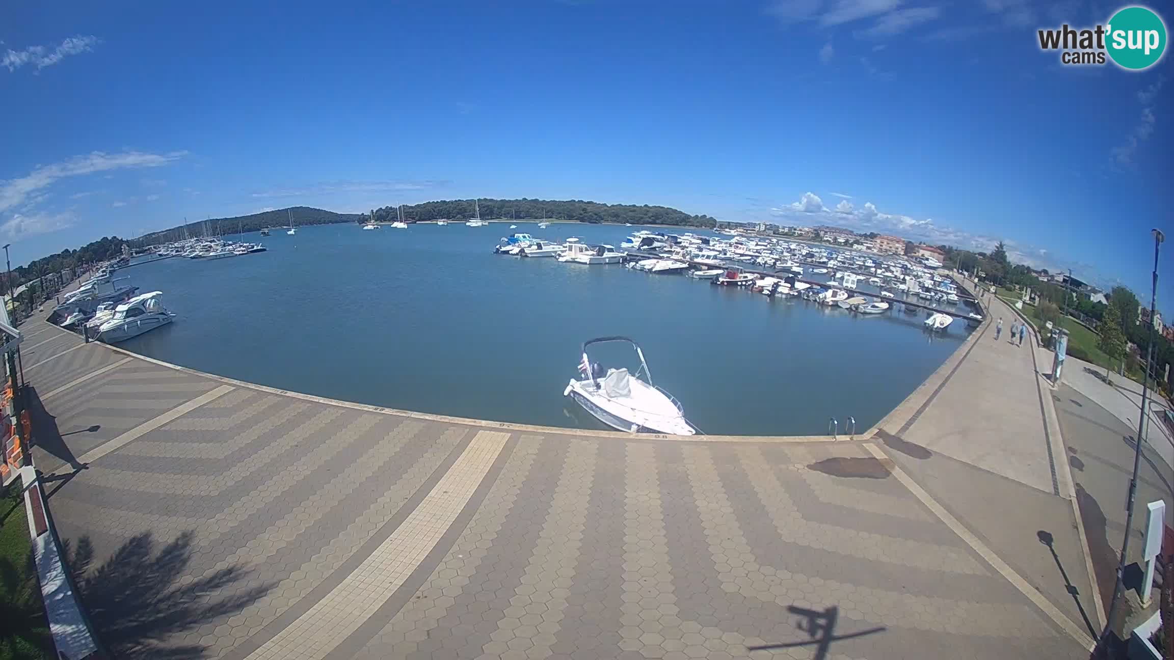 Camera en vivo Medulin marina