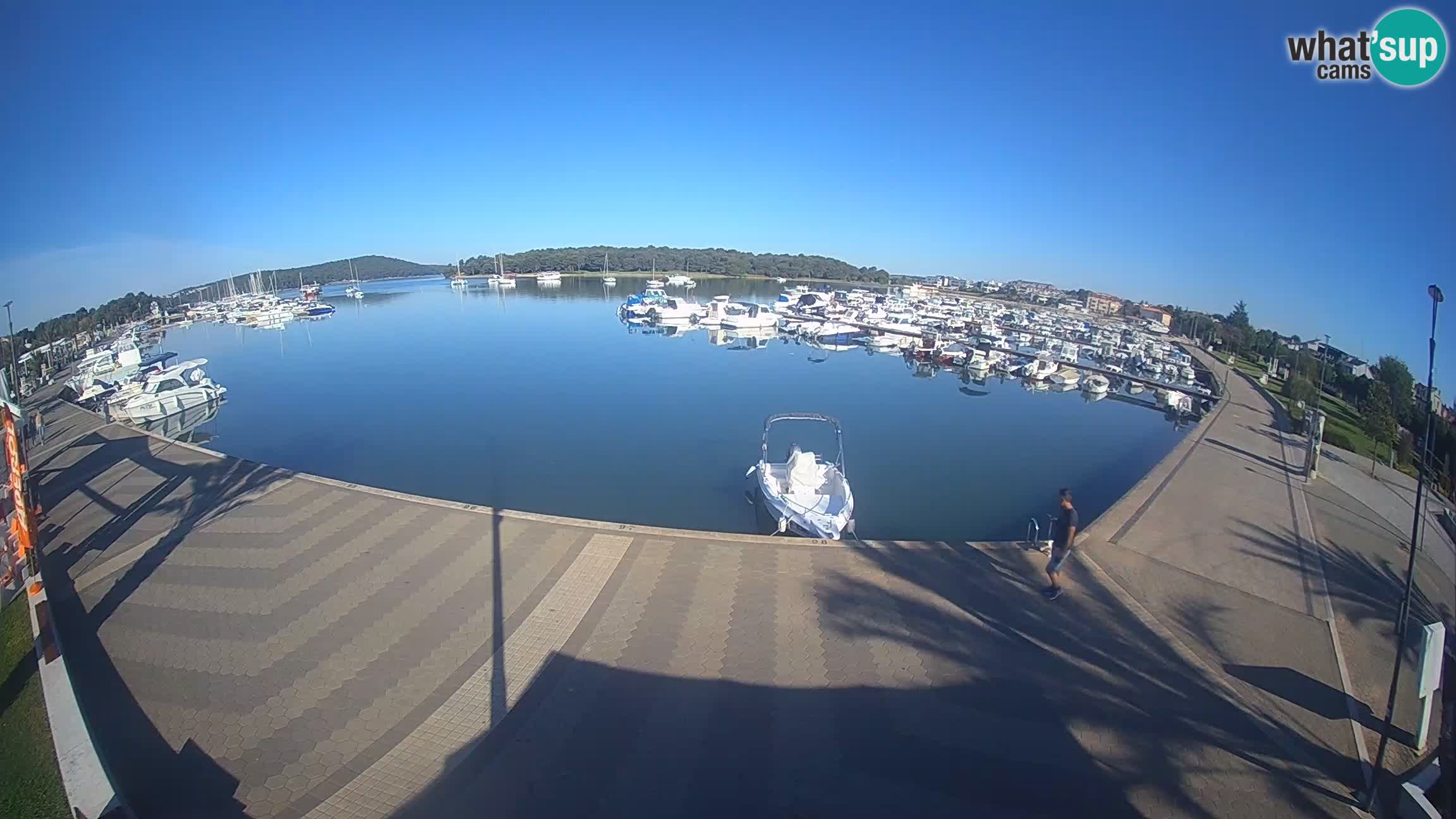 Livecam Medulin marina