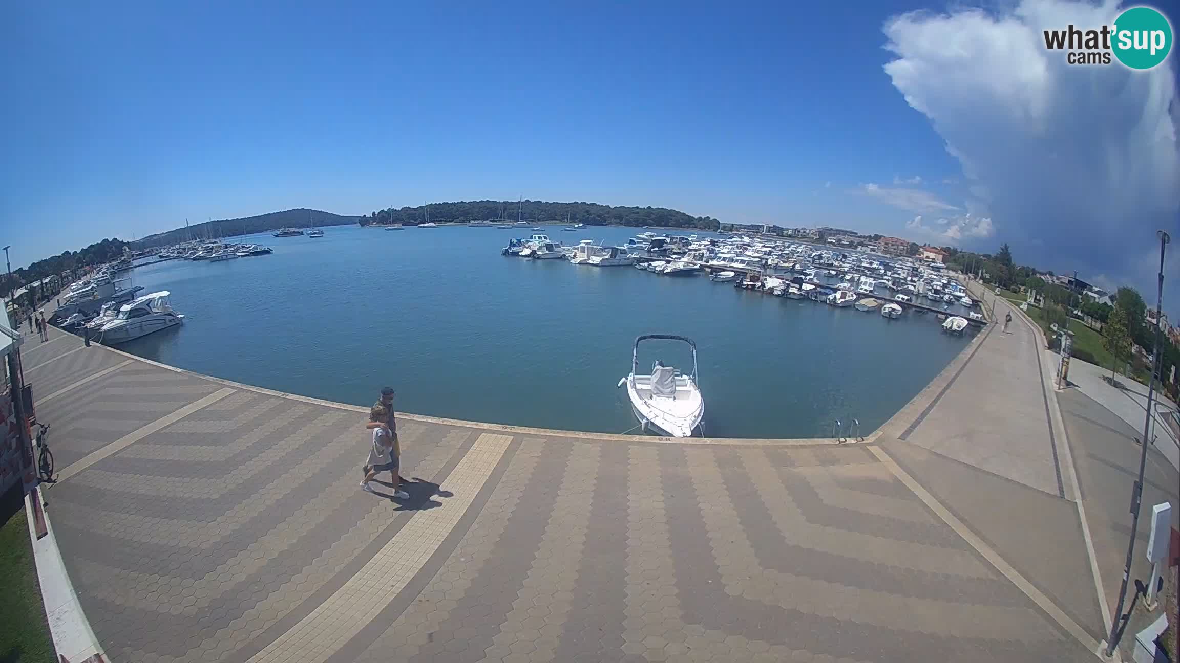 Camera en vivo Medulin marina