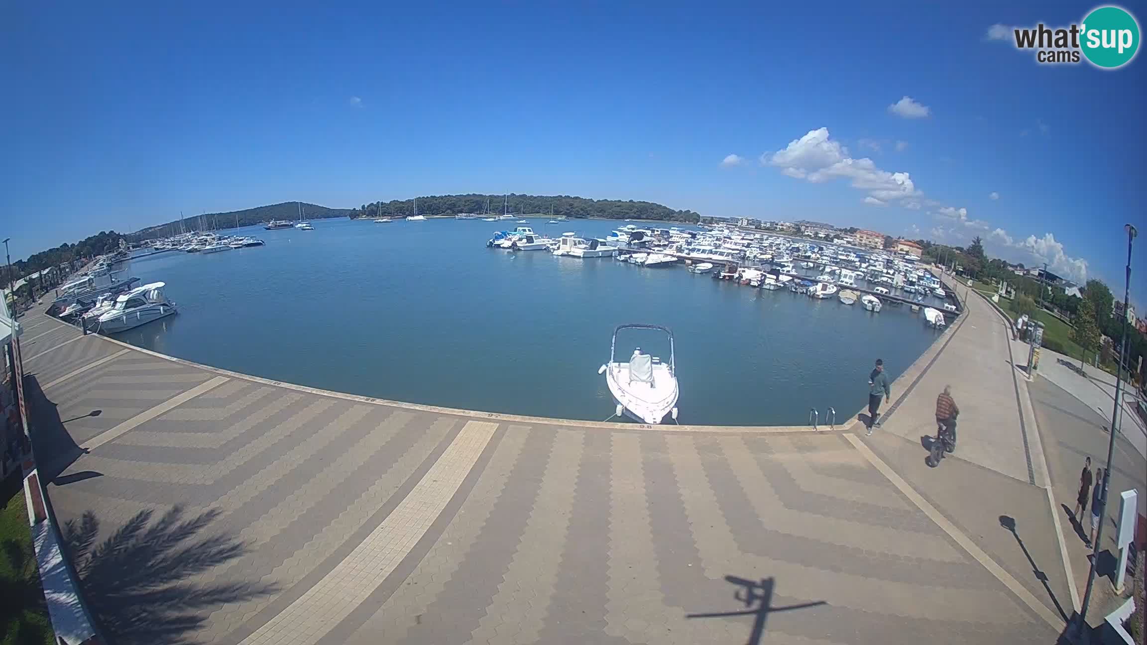 Camera en vivo Medulin marina