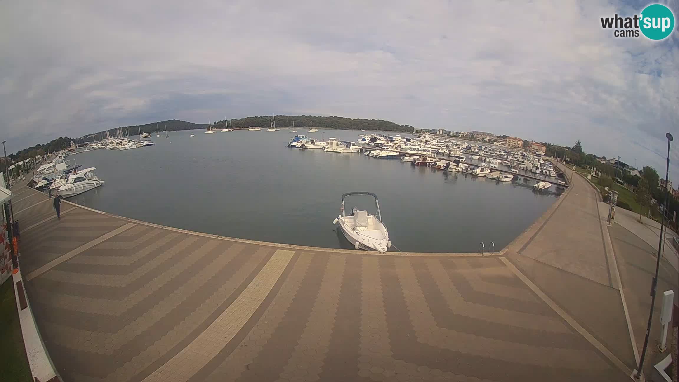 Livecam Medulin marina