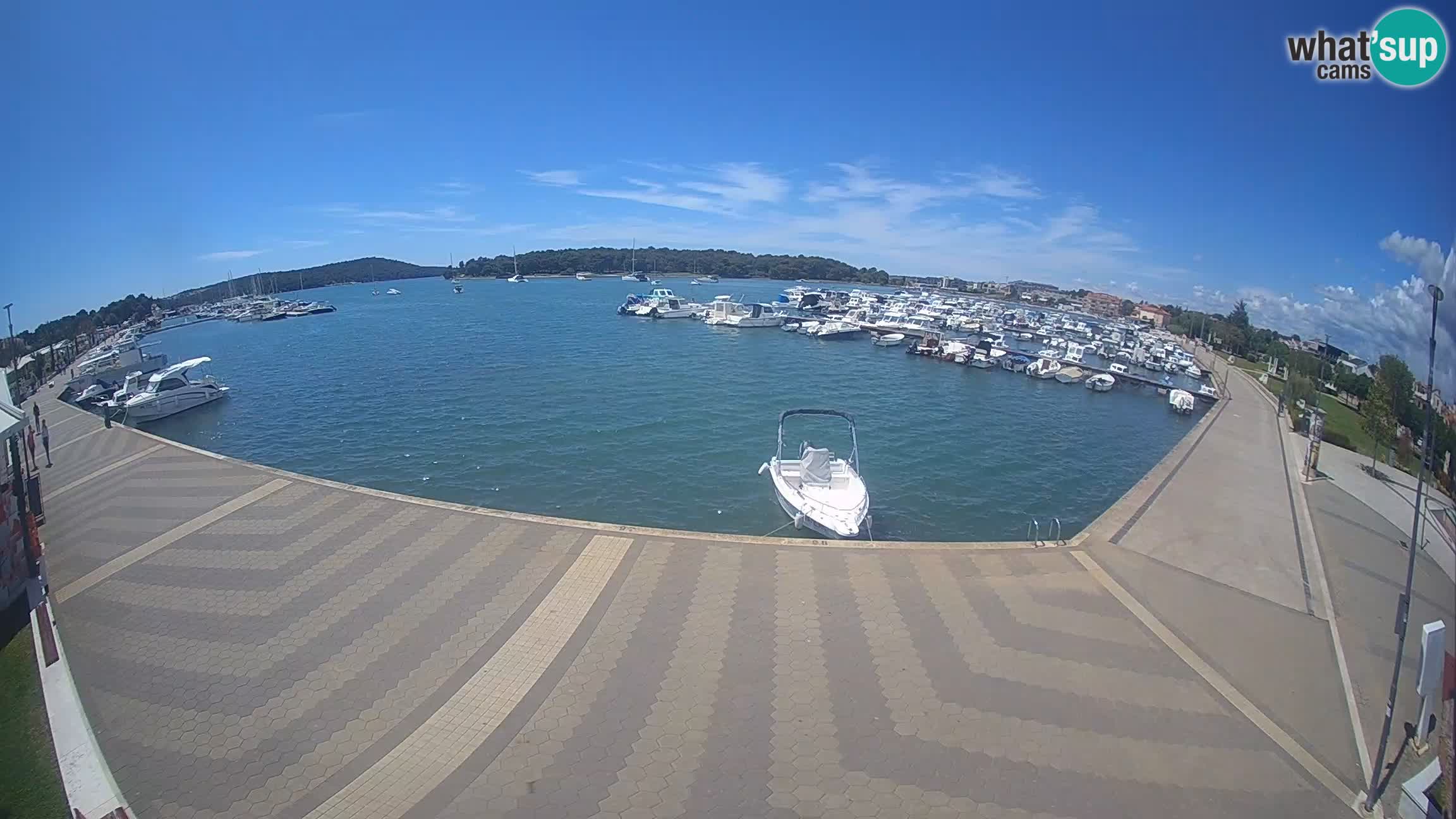 Camera en vivo Medulin marina