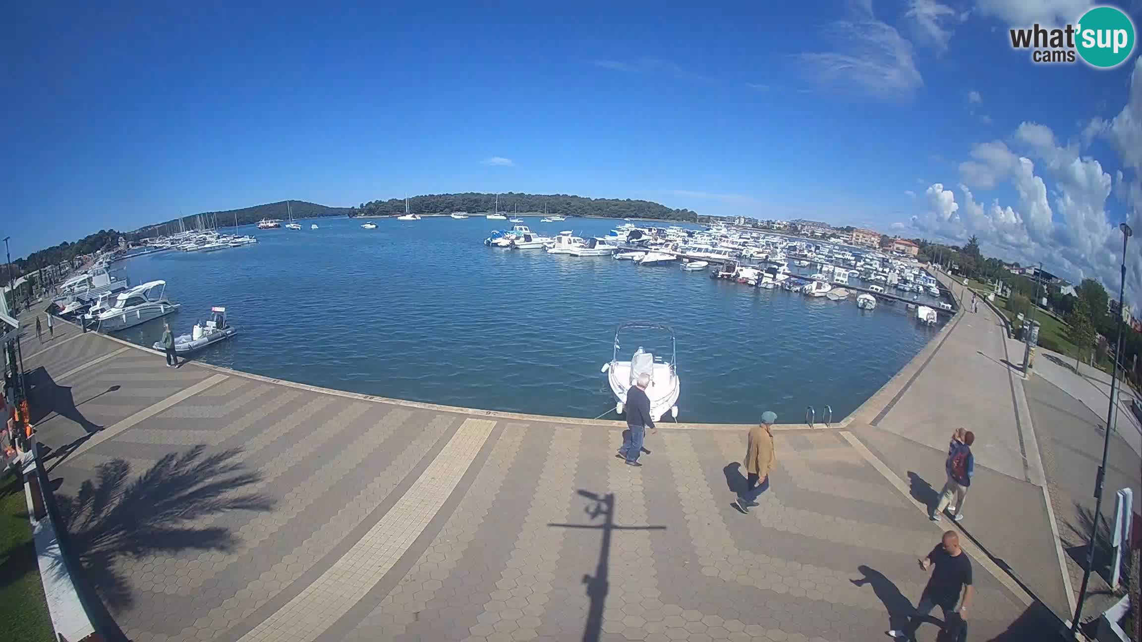 Camera en vivo Medulin marina