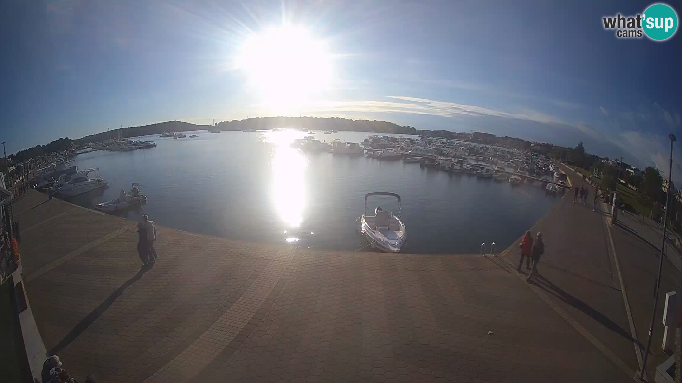 Camera en vivo Medulin marina