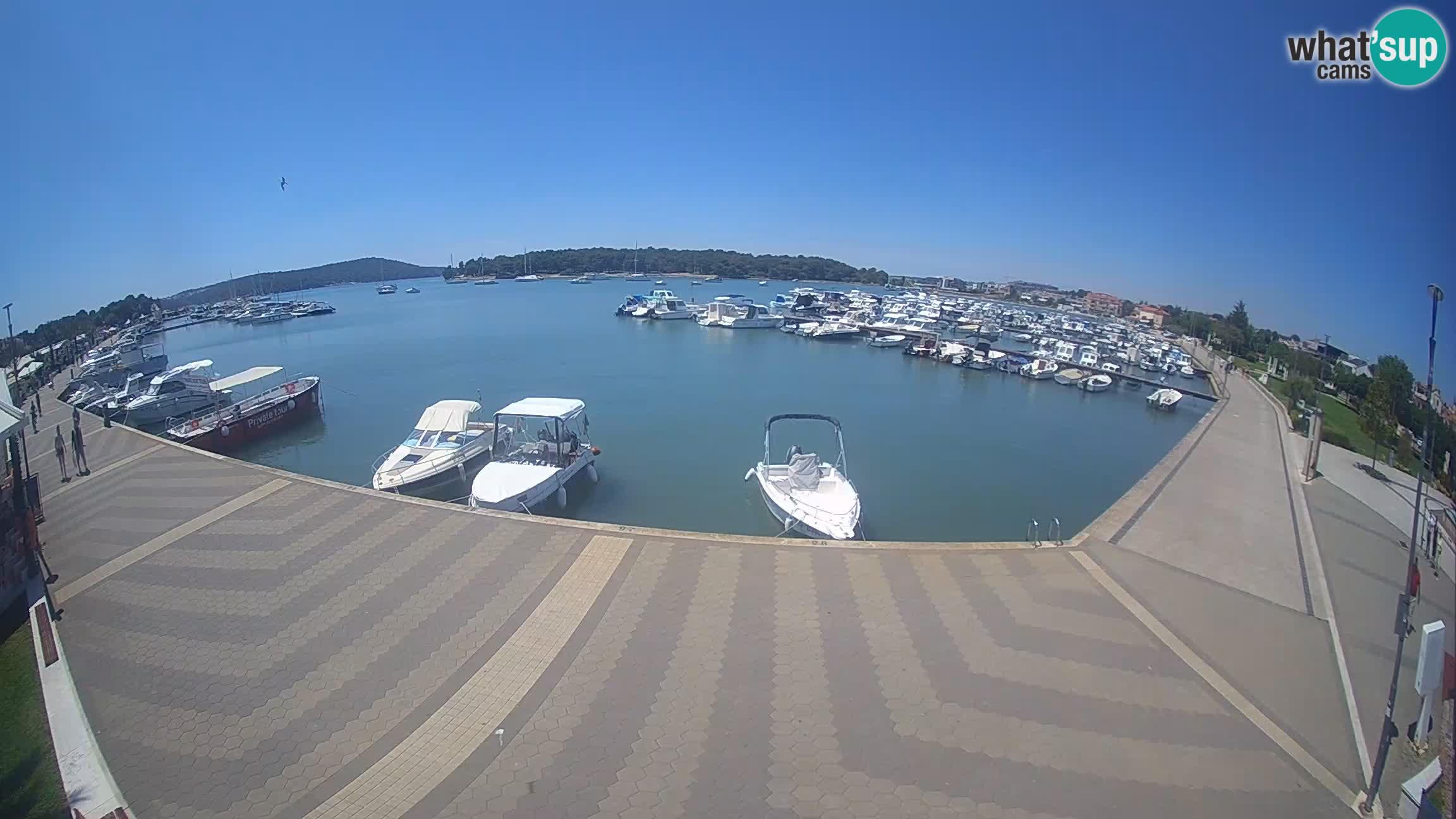 Medulin Webcam LIVE – Marina